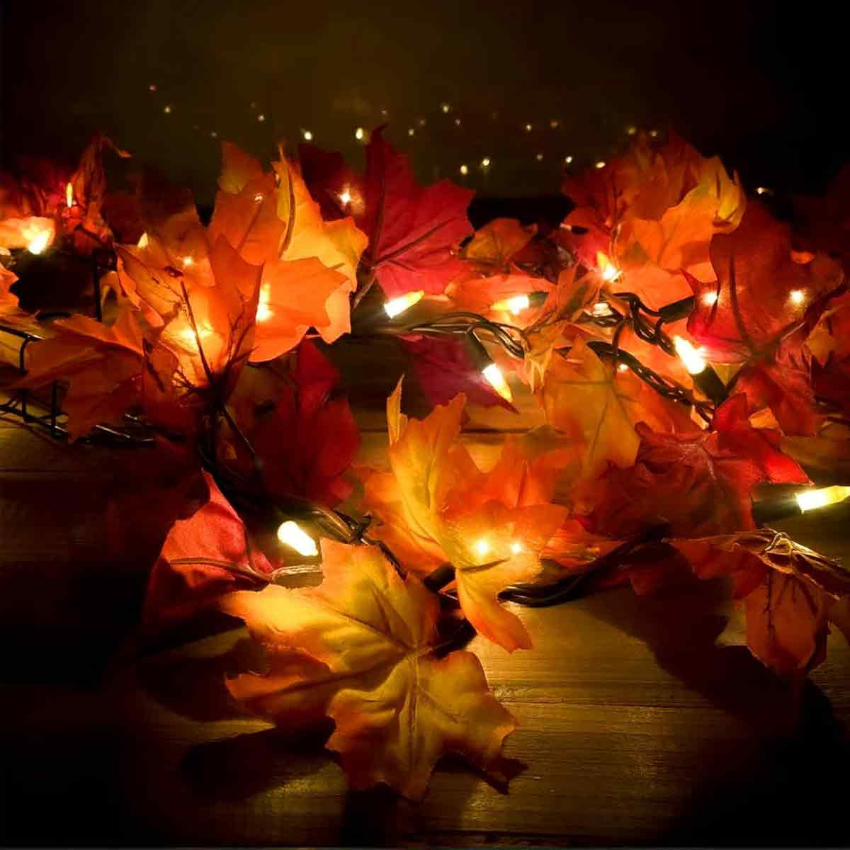 Nahaufnahme von Herbstblättern mit Lichtern. Orange, rote und gelbe Blätter mit kleinen weißen Lichtern im dunklen Hintergrund.