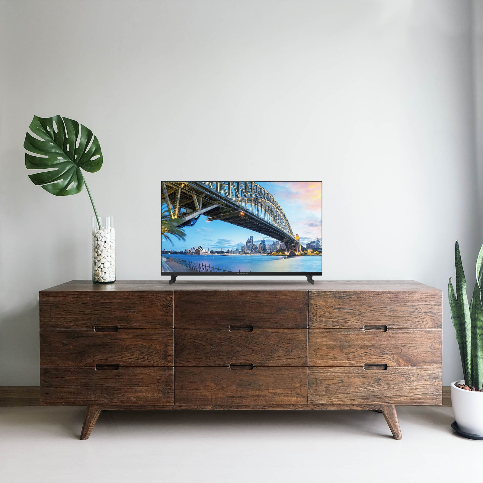 Una TV su un mobile in legno mostra una vista della città. Una grande foglia e una pianta su ogni lato.