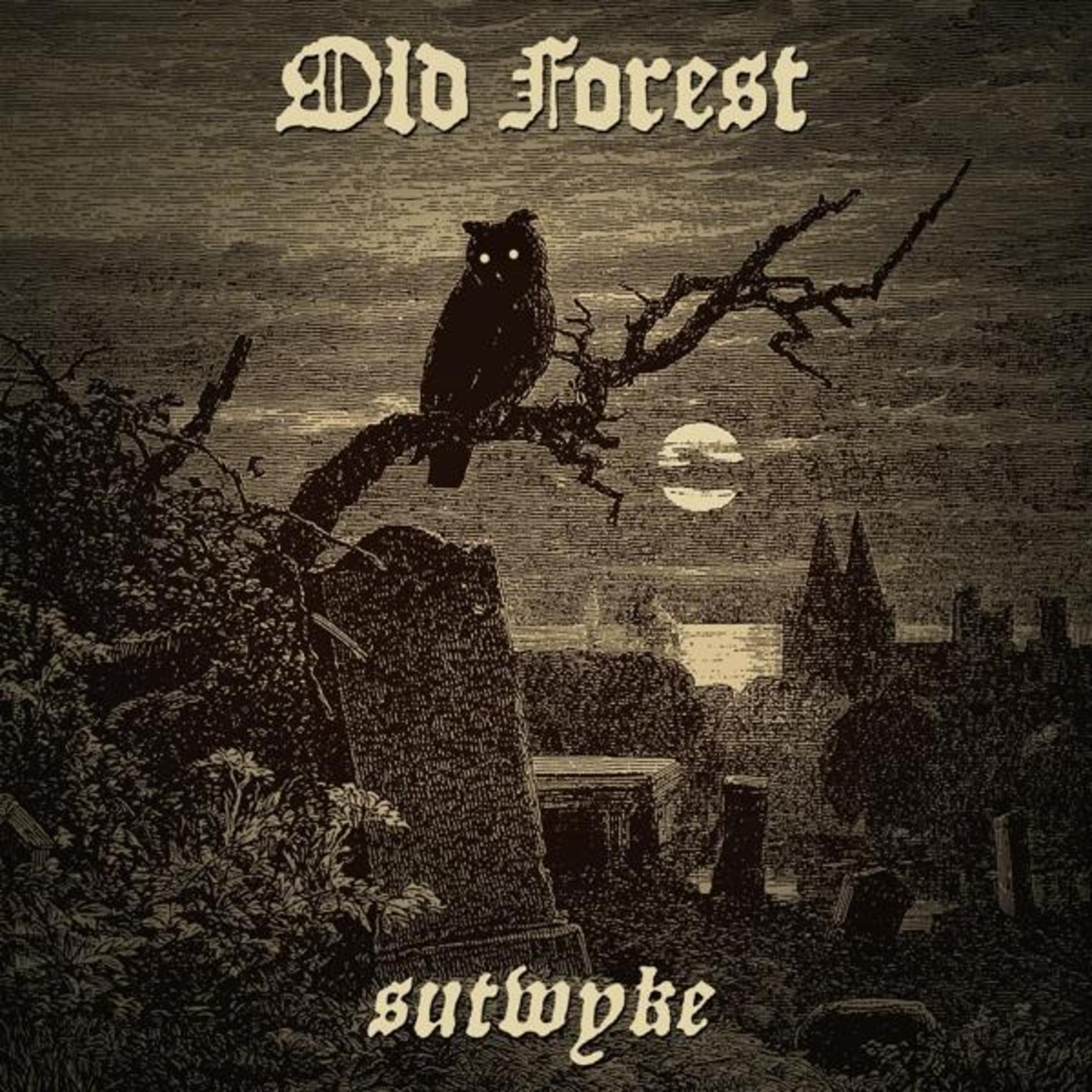 Un gufo si posa su un ramo sopra un cimitero. La luna splende sullo sfondo. Il testo recita Old Forest e sutwyke.