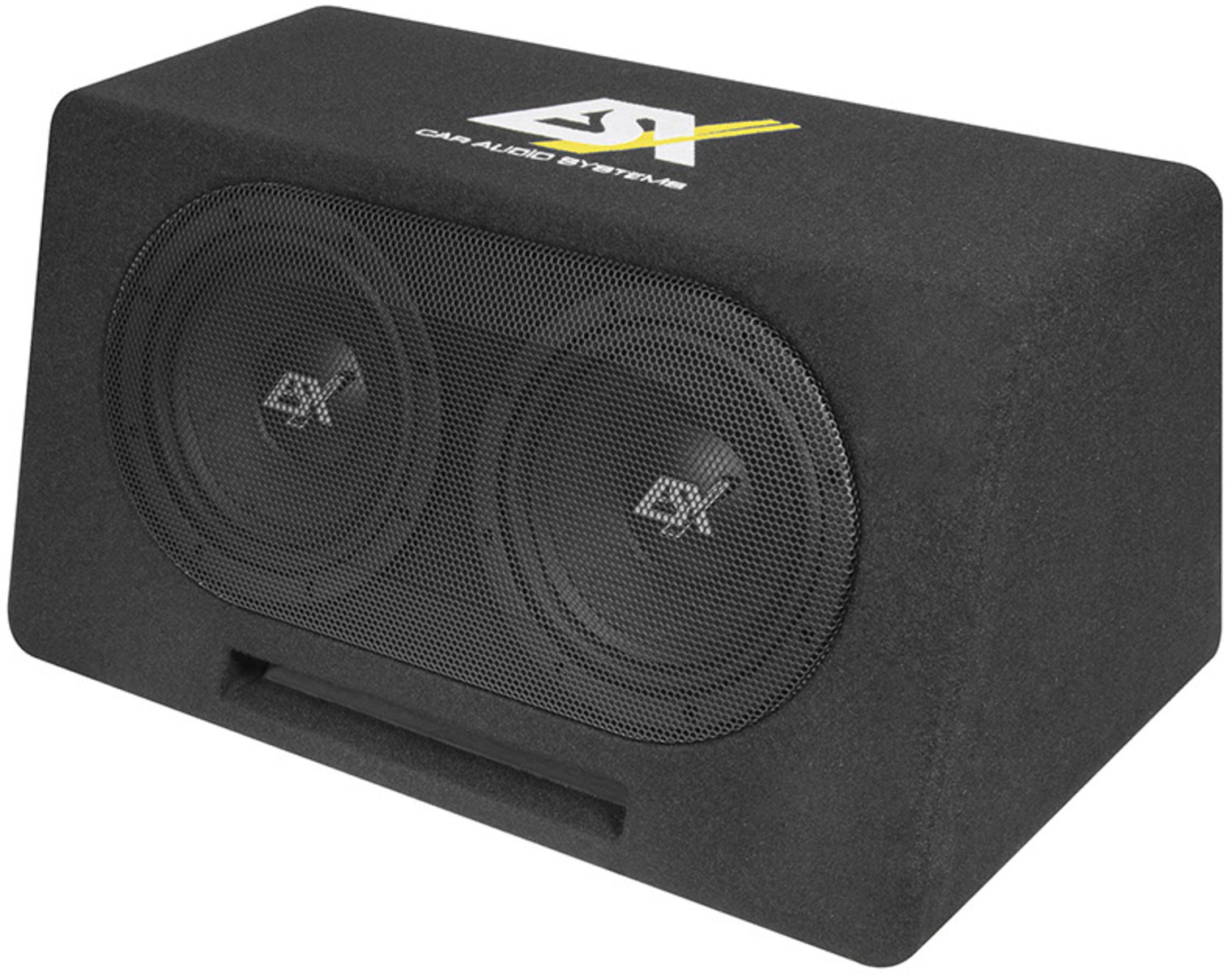 Schwarzer Auto-Subwoofer mit zwei Lautsprechern hinter einem Gitter. Oben Logo und Text 'CAR AUDIO SYSTEMS'.