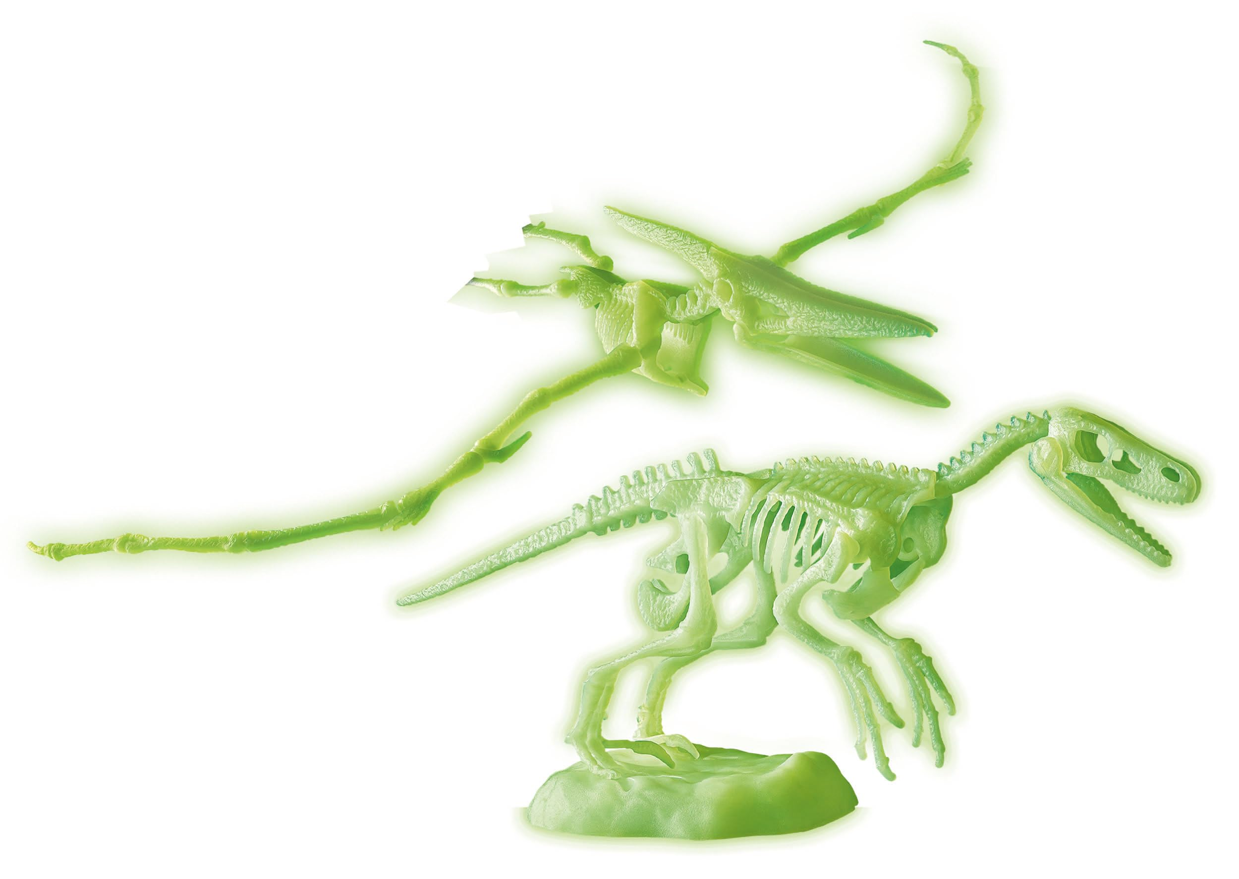 Zwei grün leuchtende Dinosaurierskelette. Eines ist ein Pterodaktylus, das andere ein T-Rex. Beide auf weißem Hintergrund.