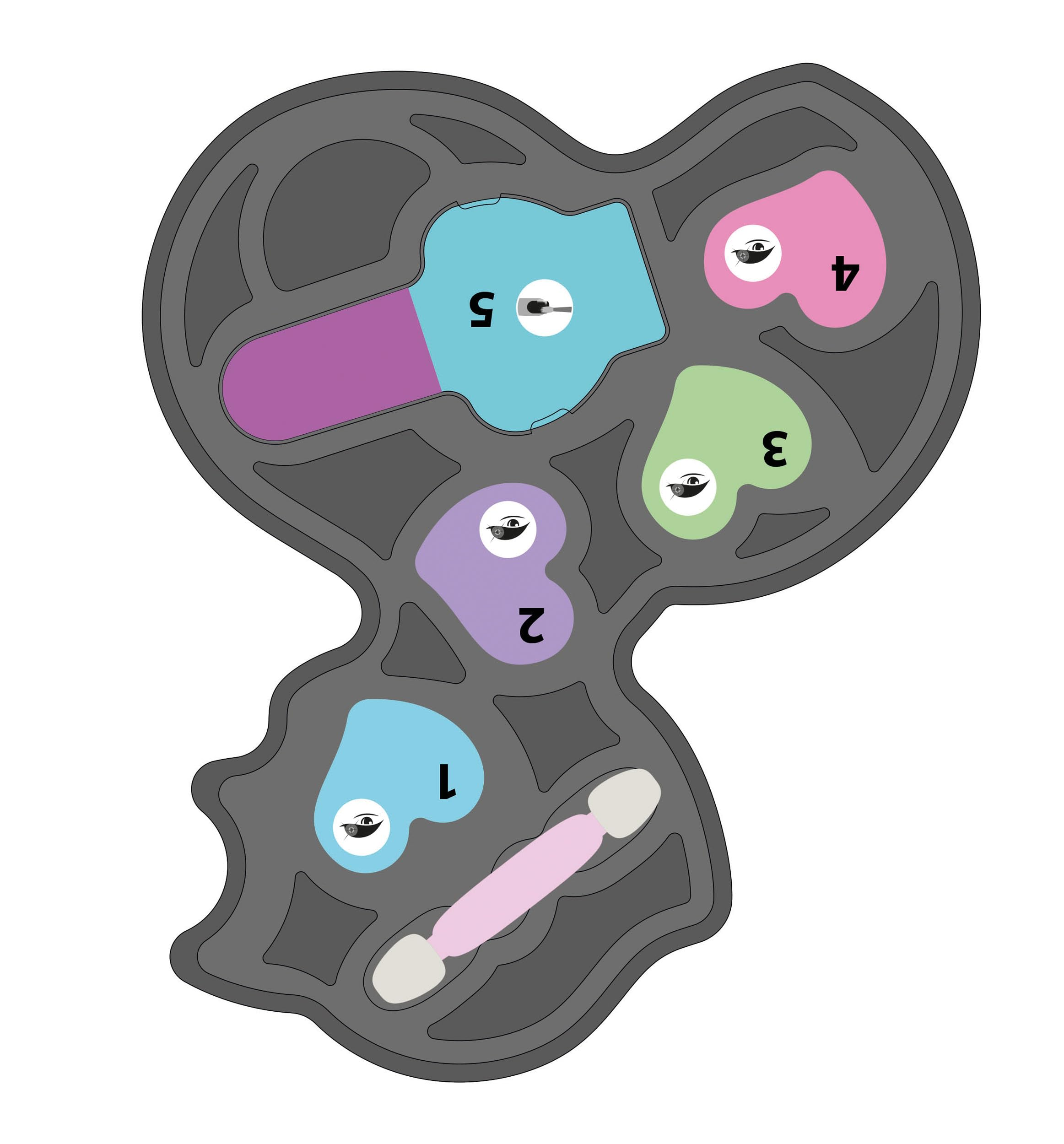 Abstrakte Illustration einer grauen Form mit farbigen Innenformen: blau, lila, rosa und grün. Jede hat ein Augensymbol.