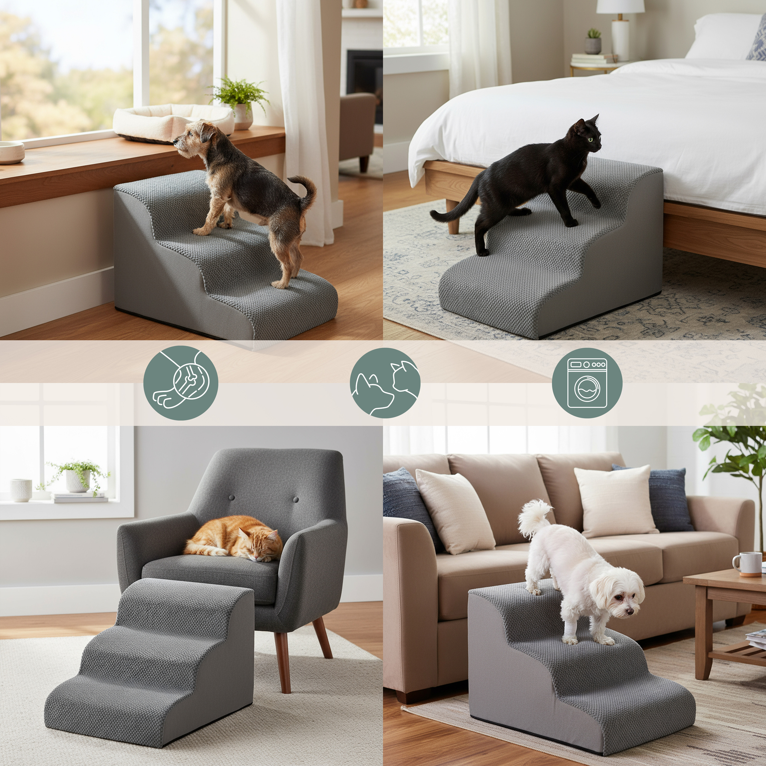 Ein Hund und eine Katze benutzen graue Tierstufen. Weitere Bilder zeigen eine Katze auf Stufen und einen anderen Hund auf Stufen. Symbole ebenfalls enthalten.