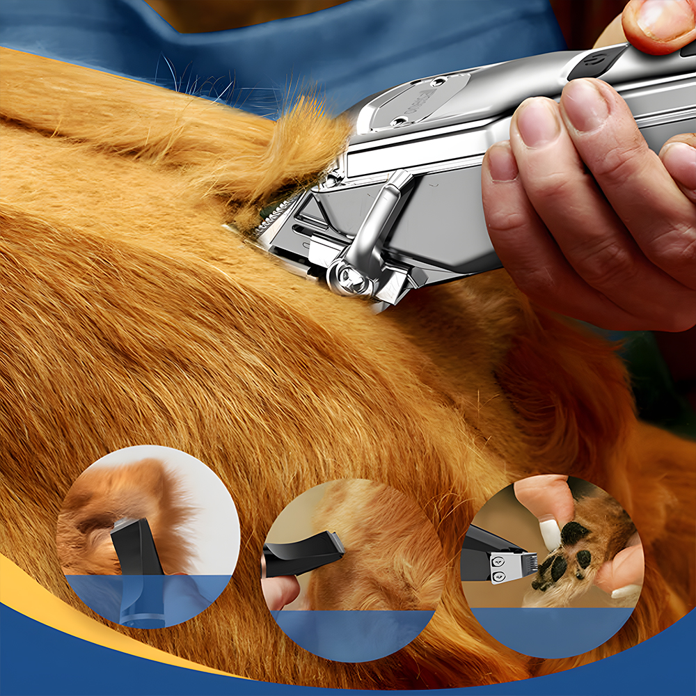 Una persona usa un tagliacapelli argentato per animali per tagliare il pelo di un golden retriever. Tre immagini mostrano primi piani del tagliacapelli in azione.