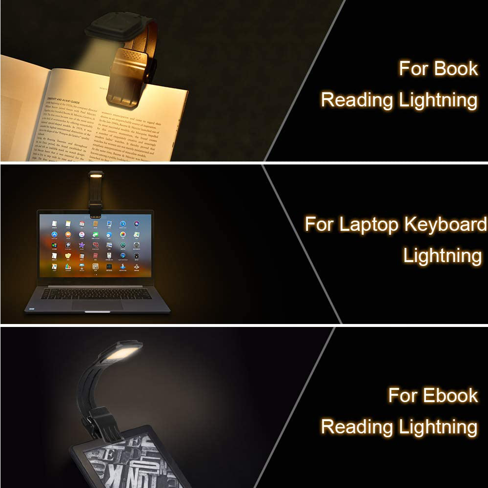 Ein Buch, ein Laptop und ein E-Reader, die jeweils von einer kleinen Lampe beleuchtet werden. Text rechts: Für Buch, Laptop.