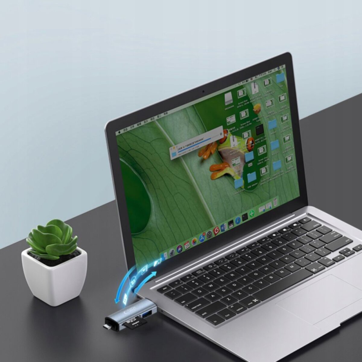 Laptop con sfondo a rana, collegato a un hub. Piccola pianta accanto al laptop.