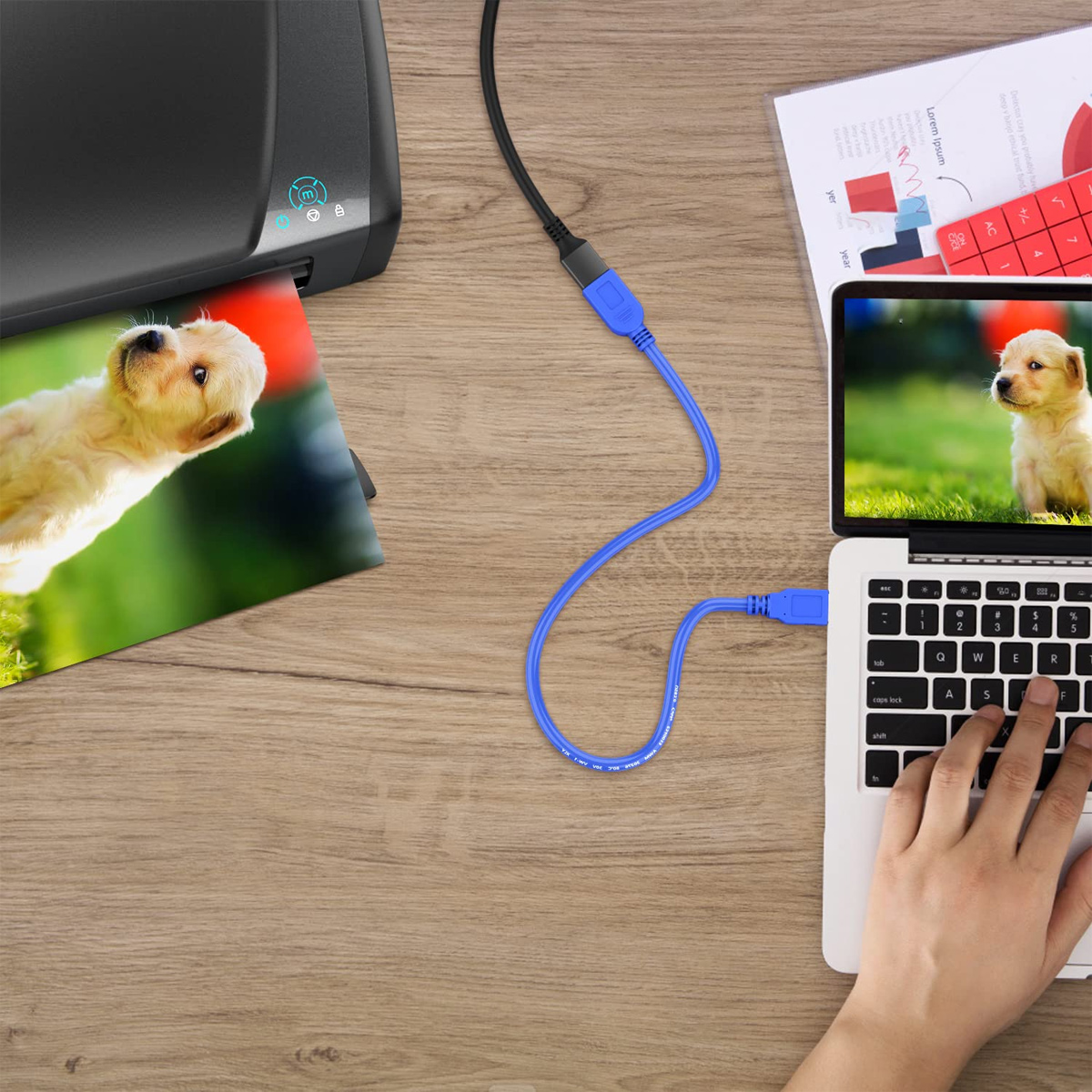 Ein Drucker druckt ein Welpenbild. Ein Laptop zeigt dasselbe Bild. Ein blaues USB-Kabel verbindet sie. Eine Hand tippt auf der Tastatur.