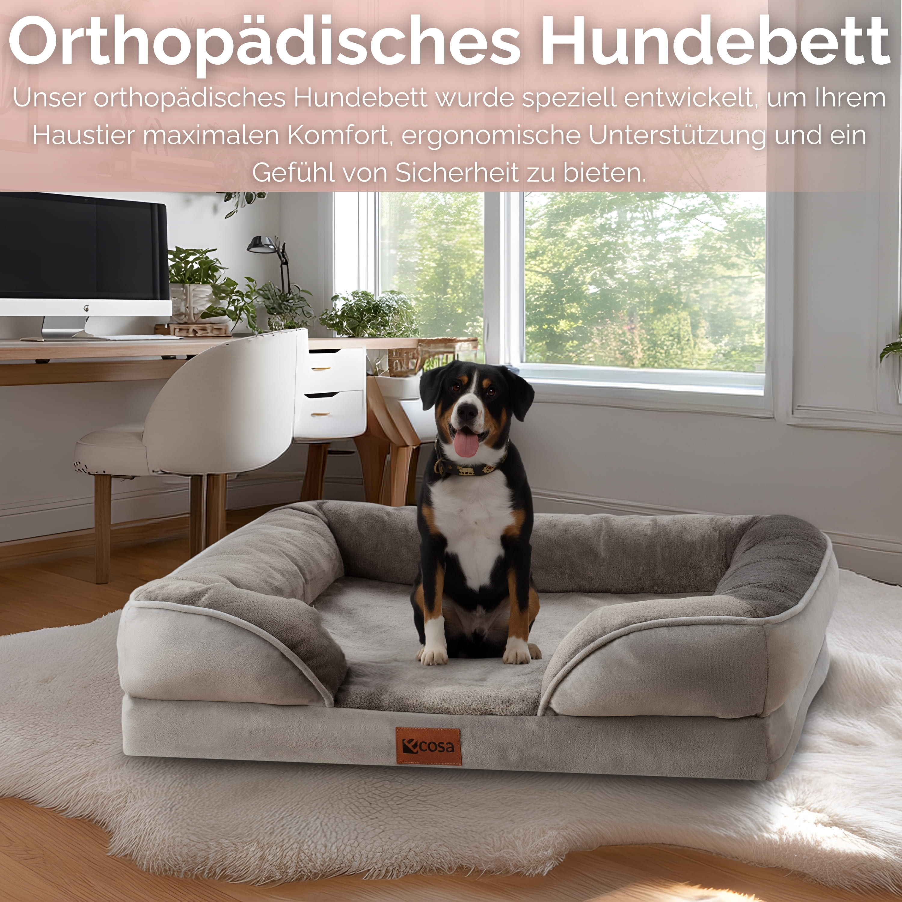 Ein Hund sitzt in einem grauen orthopädischen Hundebett. Ein Teppich und ein Schreibtisch befinden sich im Hintergrund.