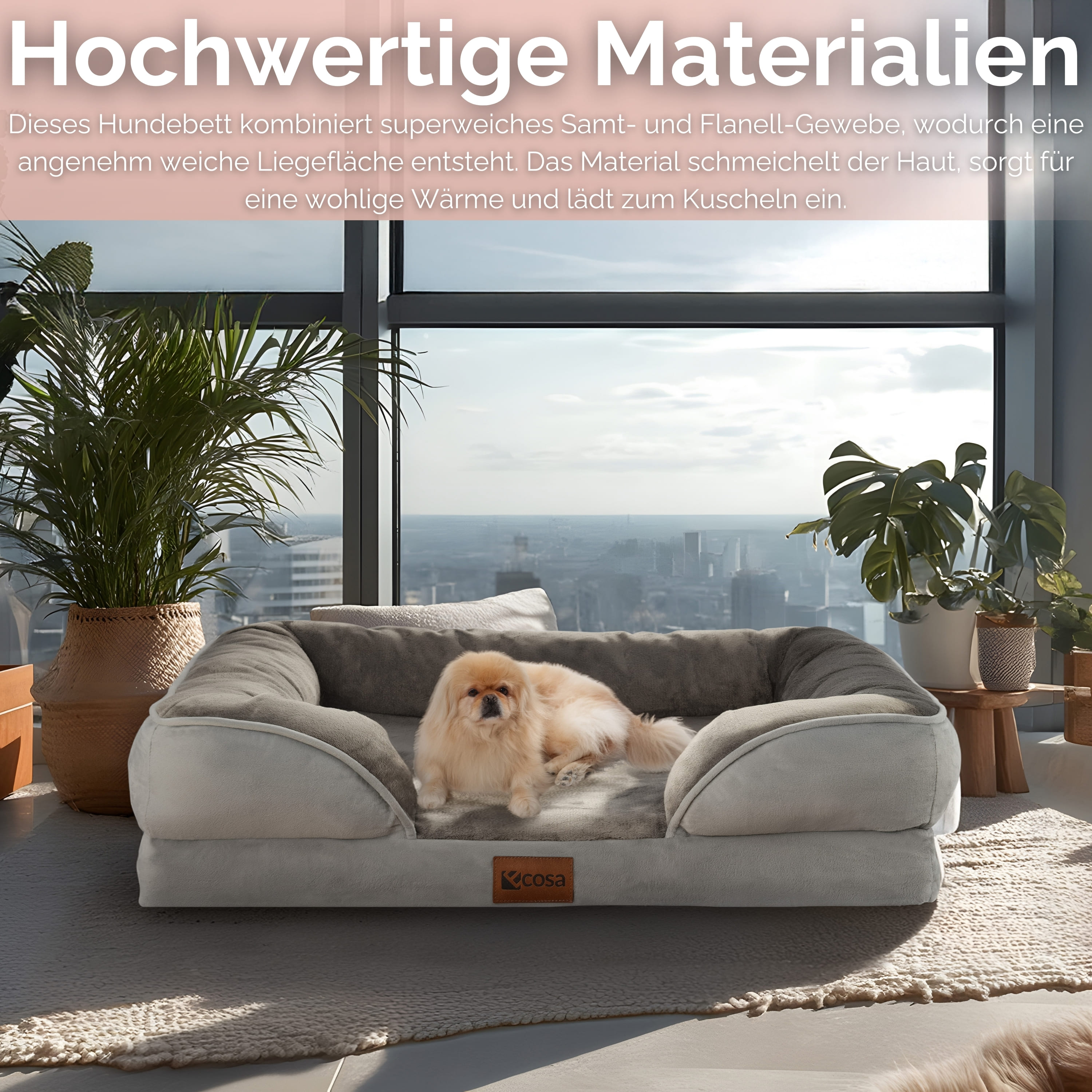 Ein Hund liegt auf einem Bett. Das Bett befindet sich in einem Raum mit Pflanzen und einem Fenster mit Blick auf eine Stadt.