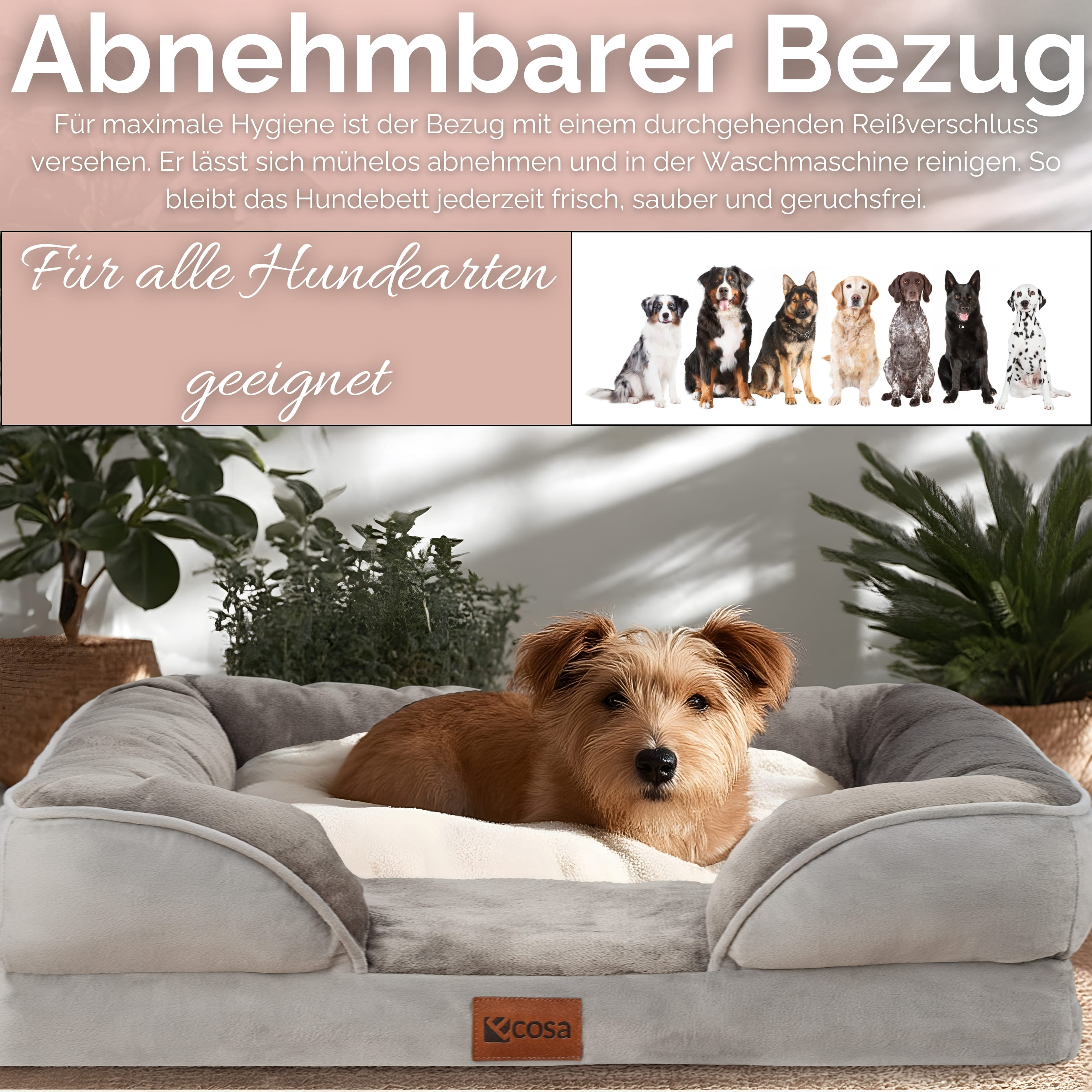 Ein Hundebett mit einem Hund darauf. Der Text oben lautet Abnehmbarer Bezug.