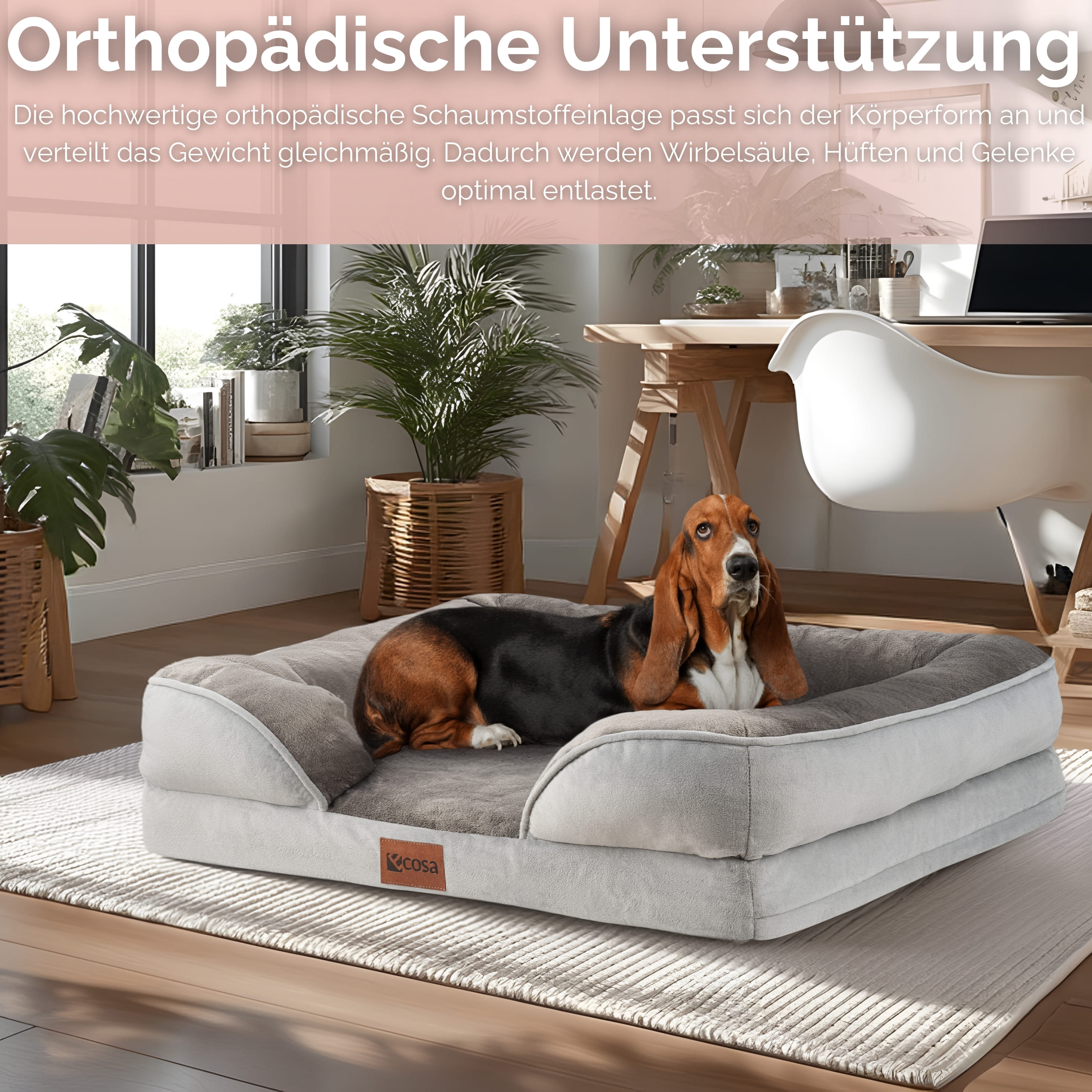 Ein Hund in einem Bett. Das Bett ist grau, der Hund braun, schwarz und weiß. Hintergrund: Schreibtisch, Pflanzen.