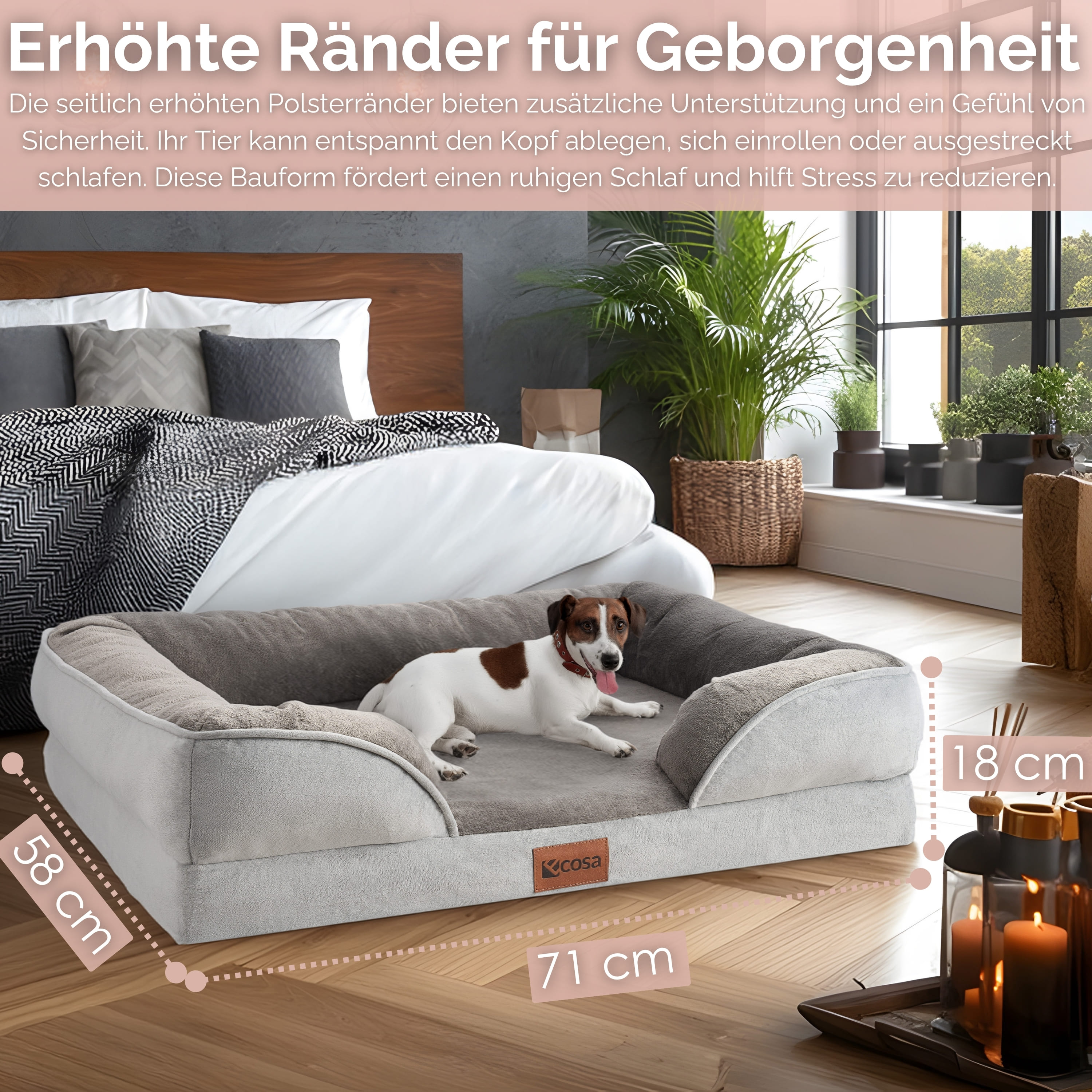 Hundebett mit Hund. Bett ist grau. Hund ist weiß und braun, mit rotem Halsband. Schlafzimmer.