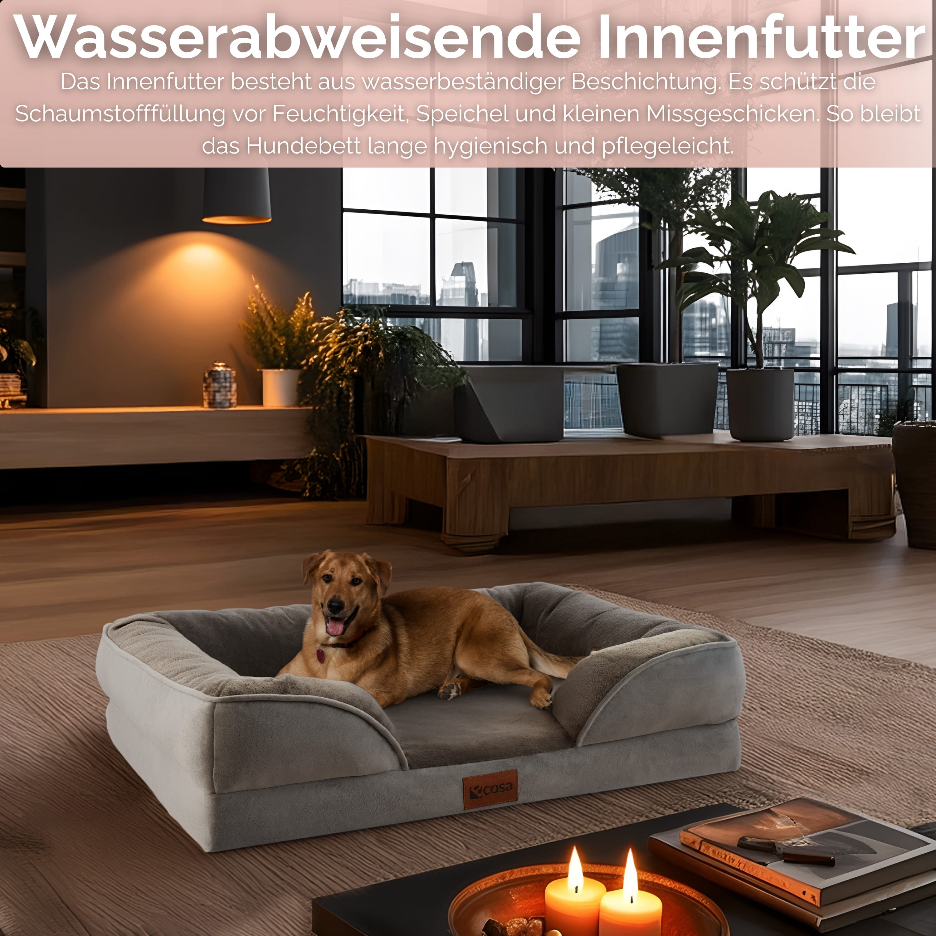 Ein Hund liegt in einem grauen Hundebett. Eine brennende Kerze und ein Buch liegen auf einem Tisch. Pflanzen im Hintergrund.