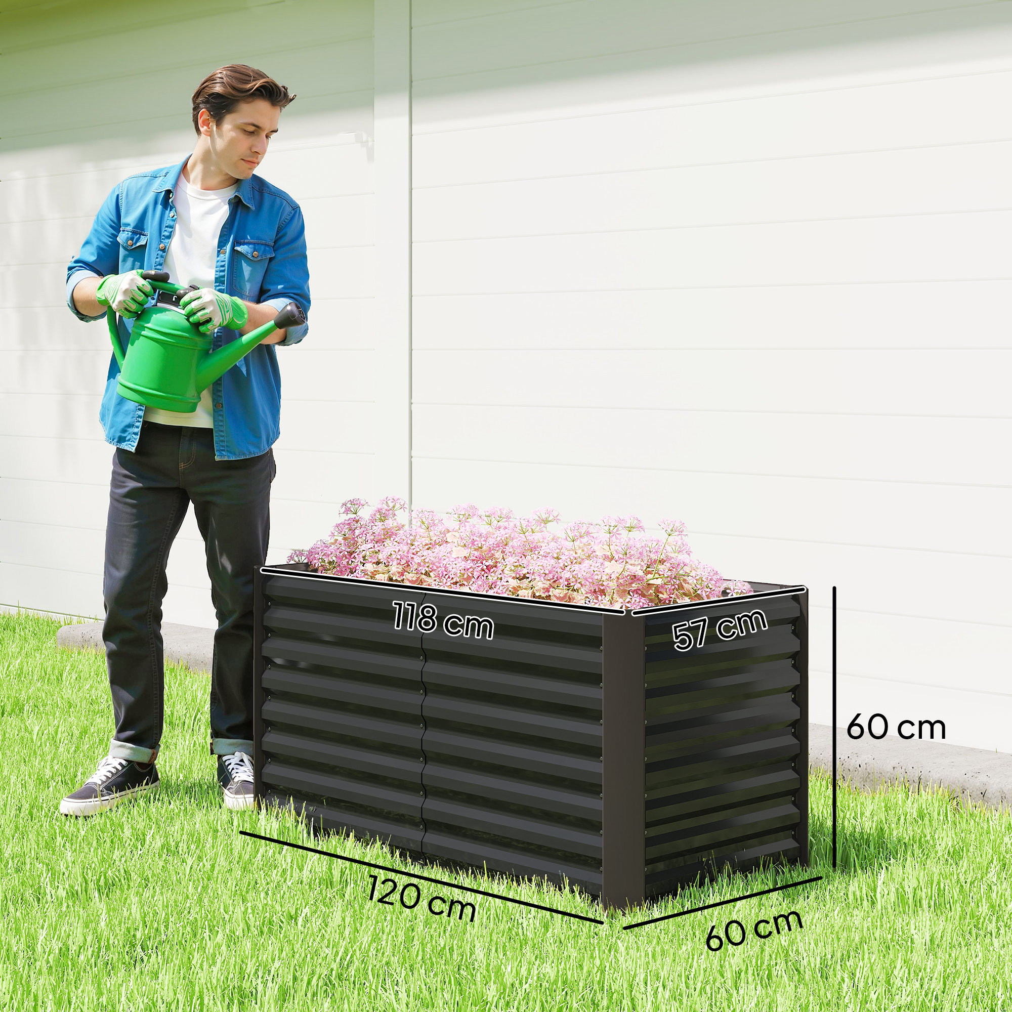 Uomo con annaffiatoio verde vicino a fioriera nera con fiori rosa, su erba verde.