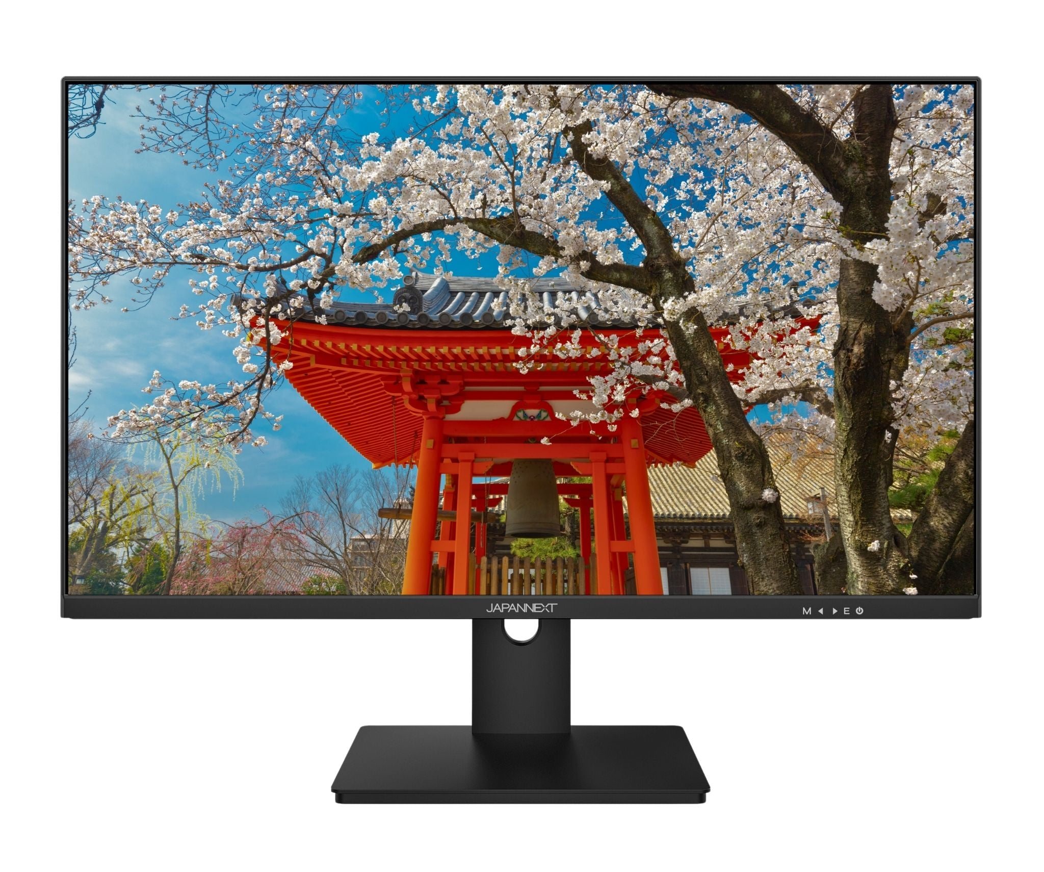Monitor mit japanischer Tempel-Szene, Kirschblüten, roter Architektur und blauem Himmel.