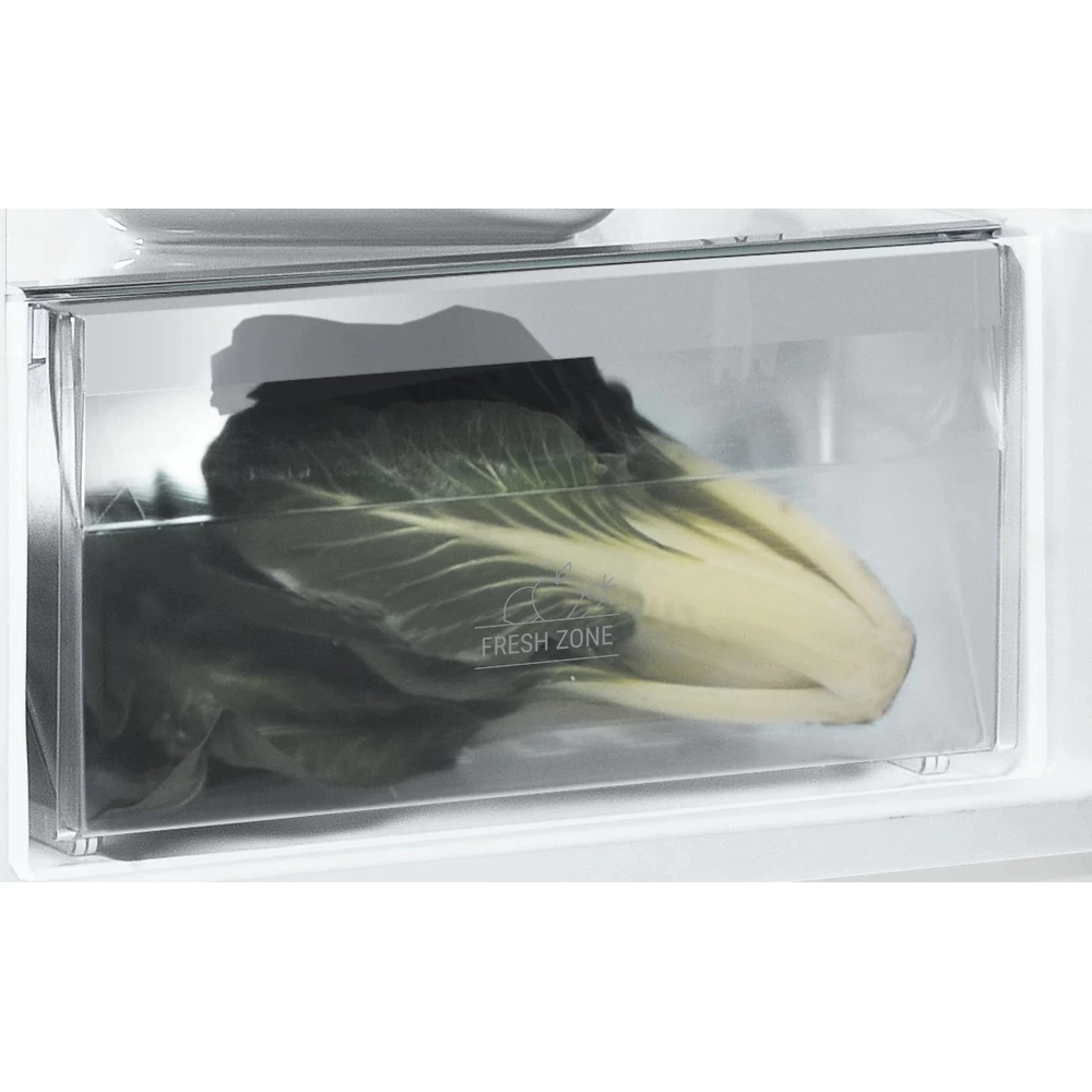 Un cajón transparente del refrigerador contiene verduras de hoja verde frescas. El cajón está etiquetado como 'FRESH ZONE'.