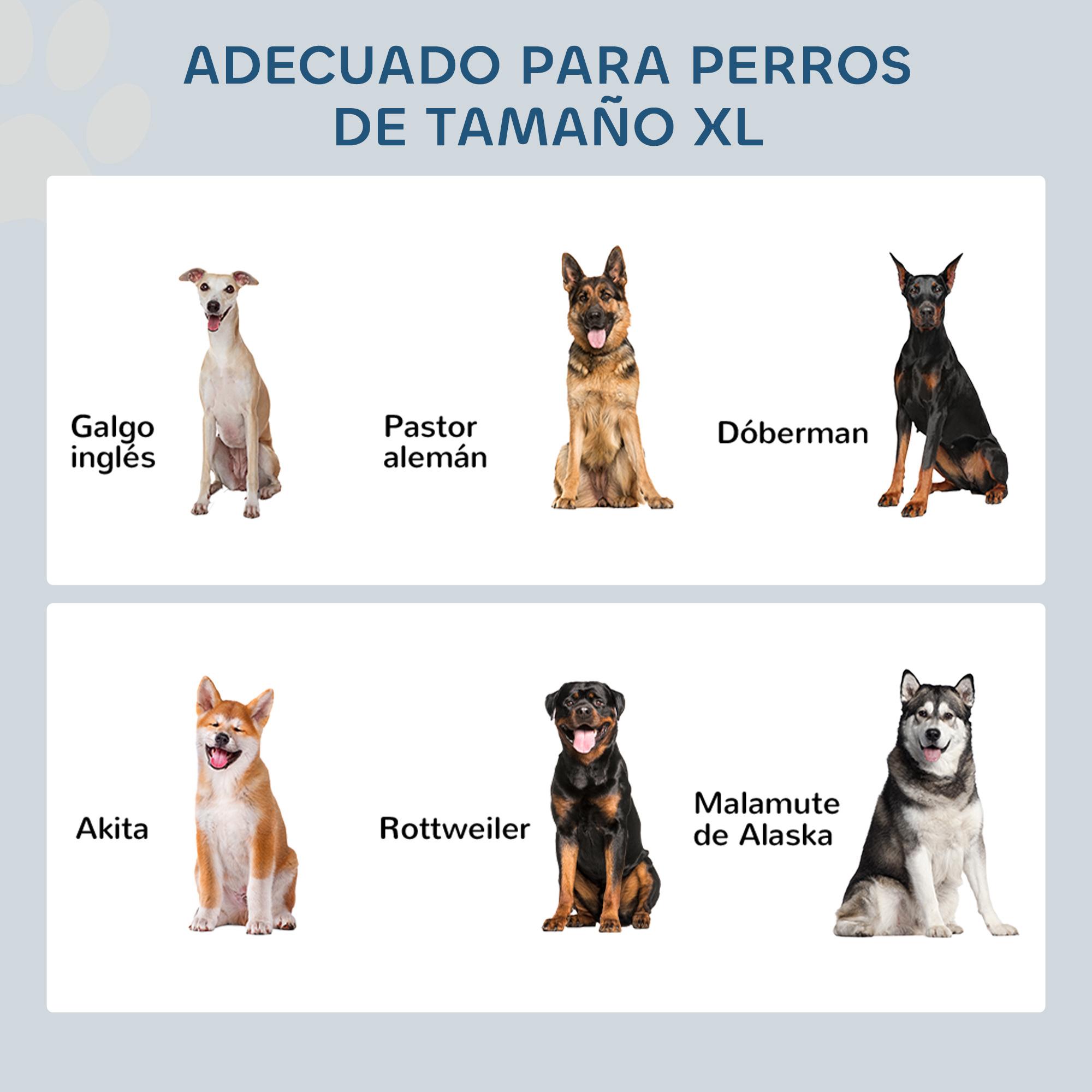 La imagen muestra seis razas de perros: Galgo Inglés, Pastor Alemán, Dóberman, Akita, Rottweiler y Malamute de Alaska.