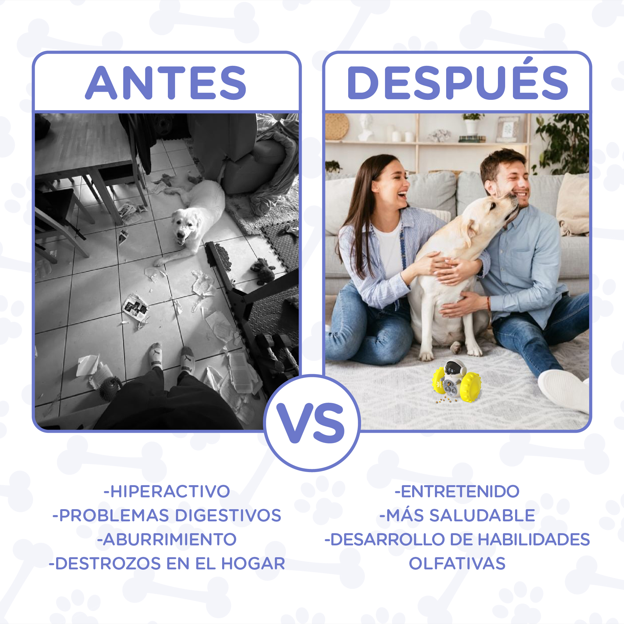 La imagen muestra un antes/después de un perro. Antes: habitación desordenada, perro mirando hacia arriba. Después: pareja feliz con perro, habitación limpia.