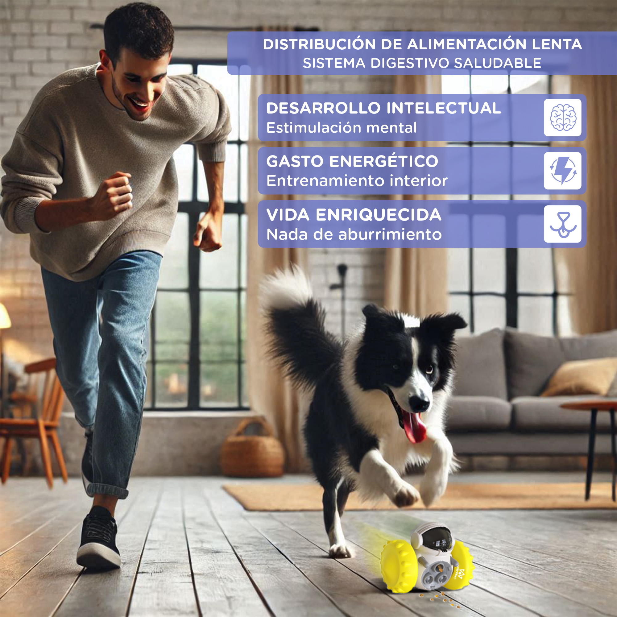 Un hombre y un perro corren. El perro persigue un juguete amarillo. La imagen tiene cuadros de texto con descripciones.