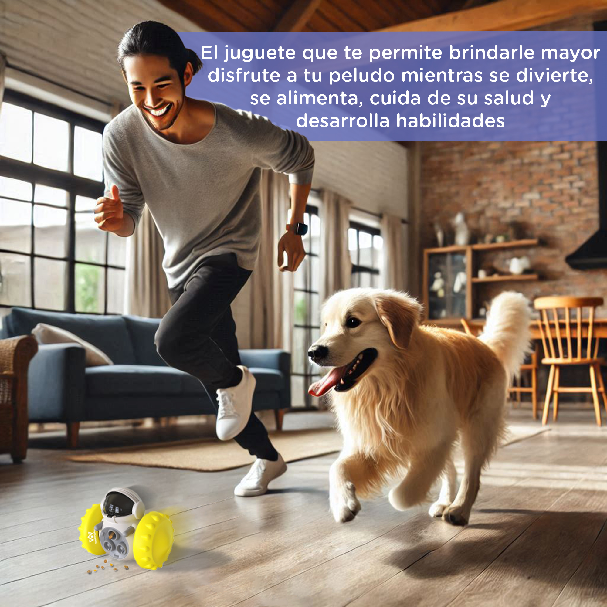 Hombre y perro jugando con un juguete en una sala de estar. El juguete está en el suelo. El perro está corriendo.