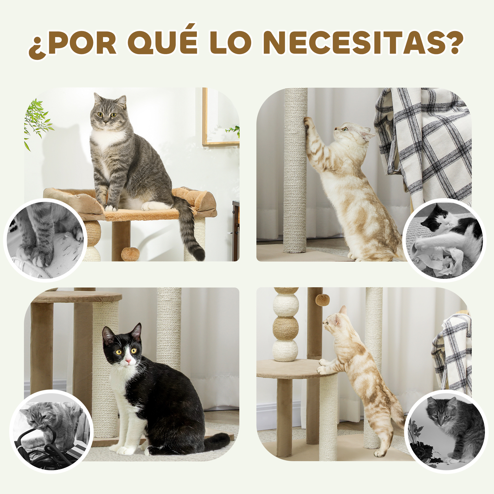 Gatos en diferentes poses, usando postes rascadores. Incluye detalles de árboles para gatos y gatos blancos y negros.