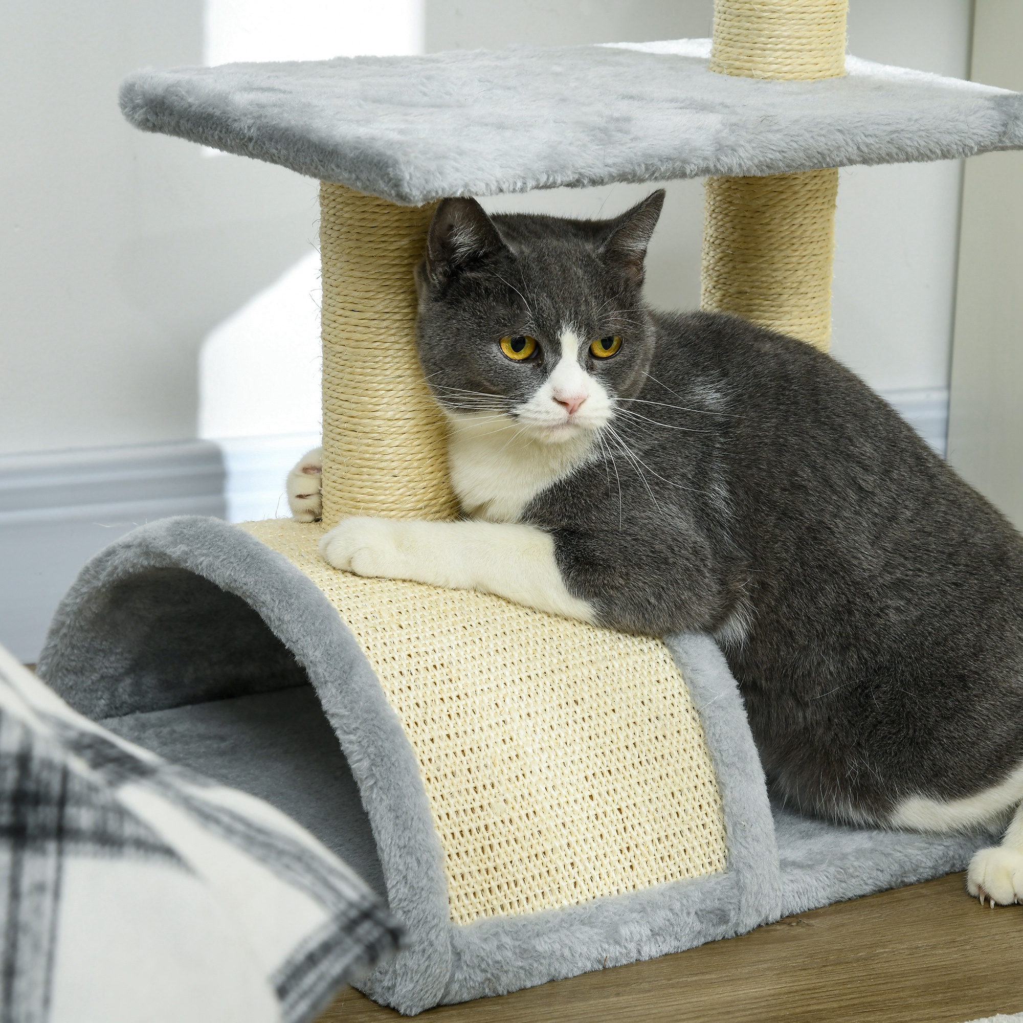 Un gato gris y blanco descansa en un rascador. Tiene ojos amarillos y mira hacia un lado.