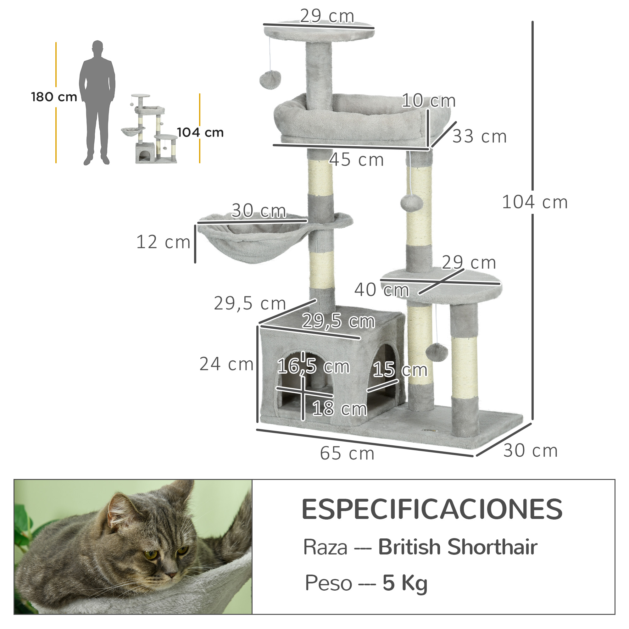 Un árbol para gatos con medidas. Un gato descansa en una cama para gatos. El texto detalla un gato British Shorthair, que pesa 5 kg.