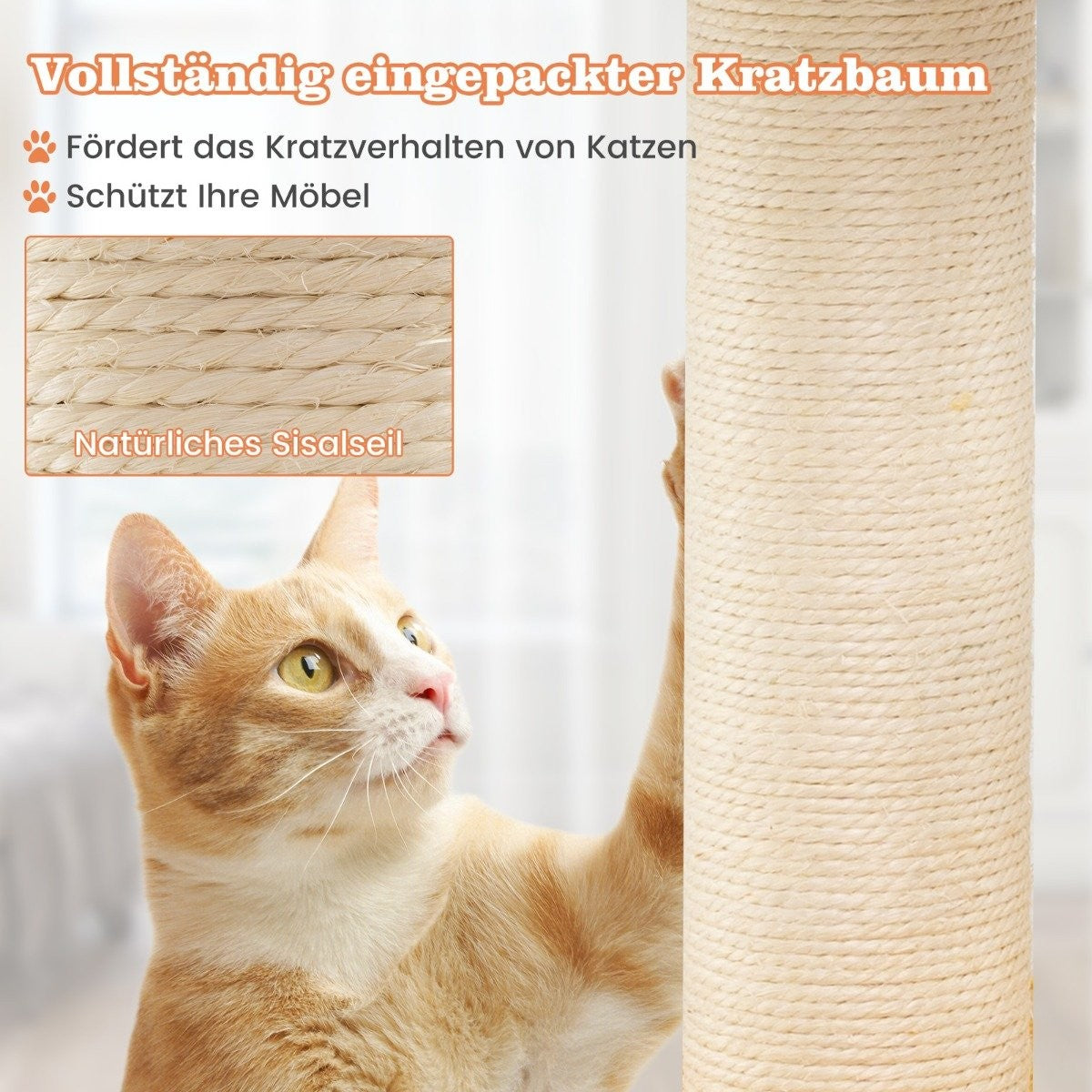 Un gato naranja se estira para rascar un poste rascador de sisal. El texto en alemán promociona el producto.