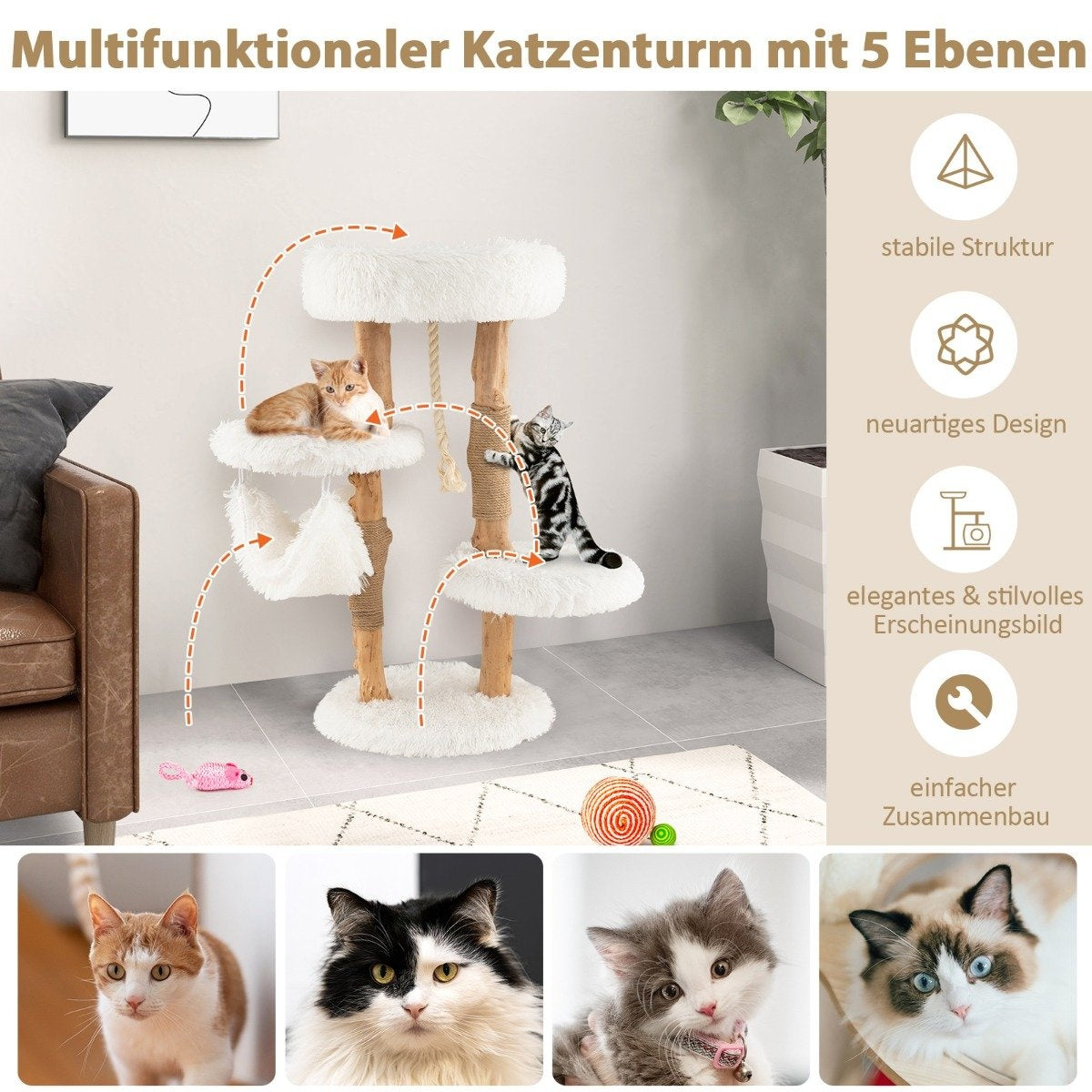 Un árbol para gatos con 5 niveles, con dos gatos encima y 4 fotos de gatos abajo. El árbol tiene una hamaca y juguetes.