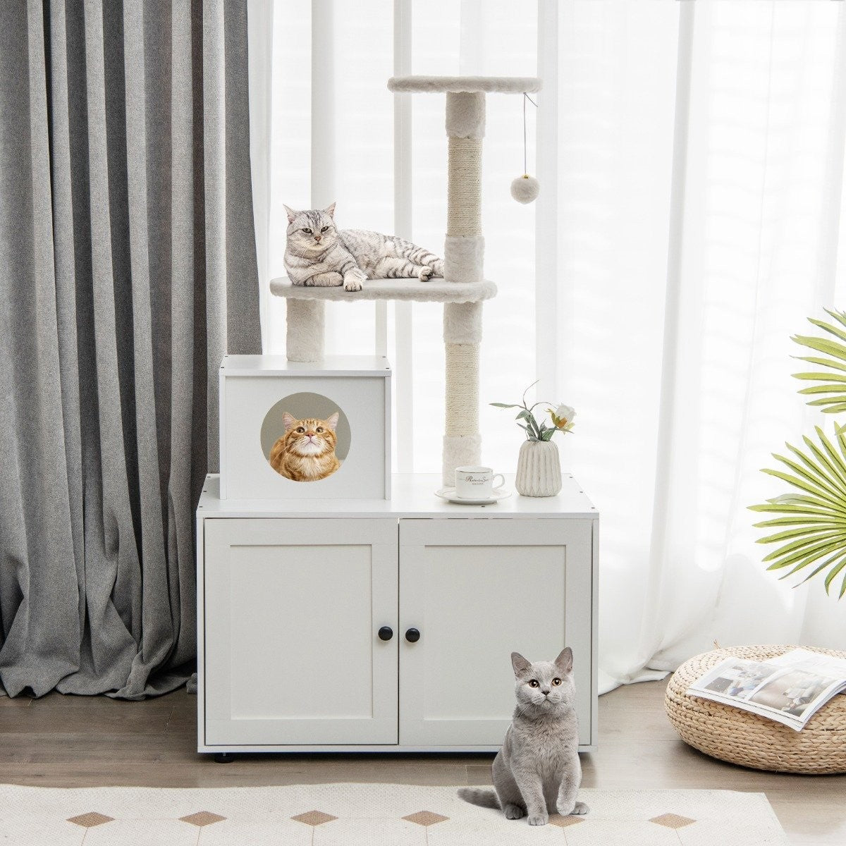 Un árbol para gatos con dos gatos, un armario con retrato de gato y un gato delante, una ventana con cortinas.