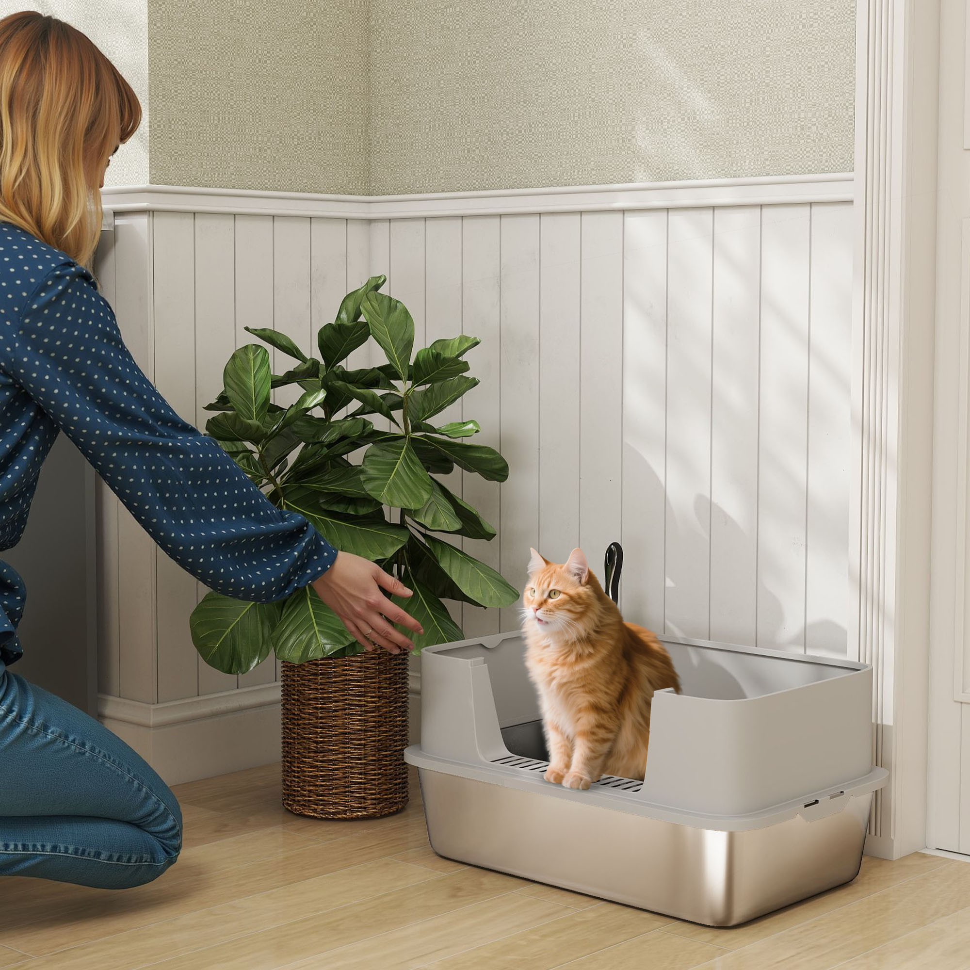 Mujer arrodillada cerca de un gato en una caja de arena. Hay una planta grande en una cesta. El gato es naranja.