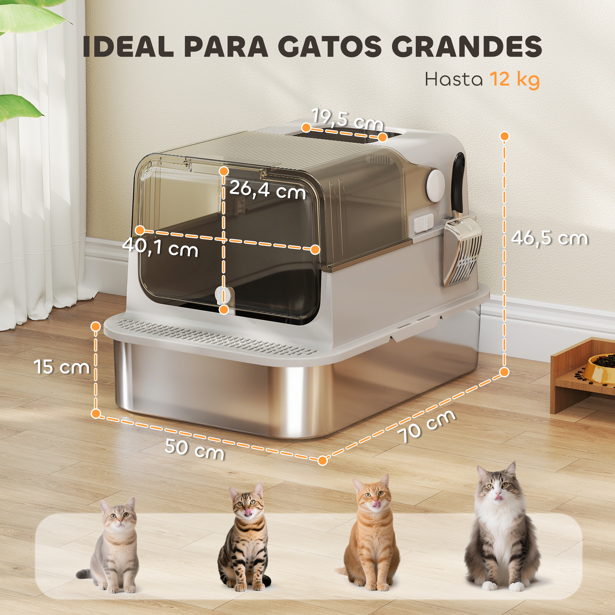 Una caja de arena con dimensiones etiquetadas. Cuatro gatos sentados enfrente. Texto: 'IDEAL PARA GATOS GRANDES' y 'Hasta 12 kg'.