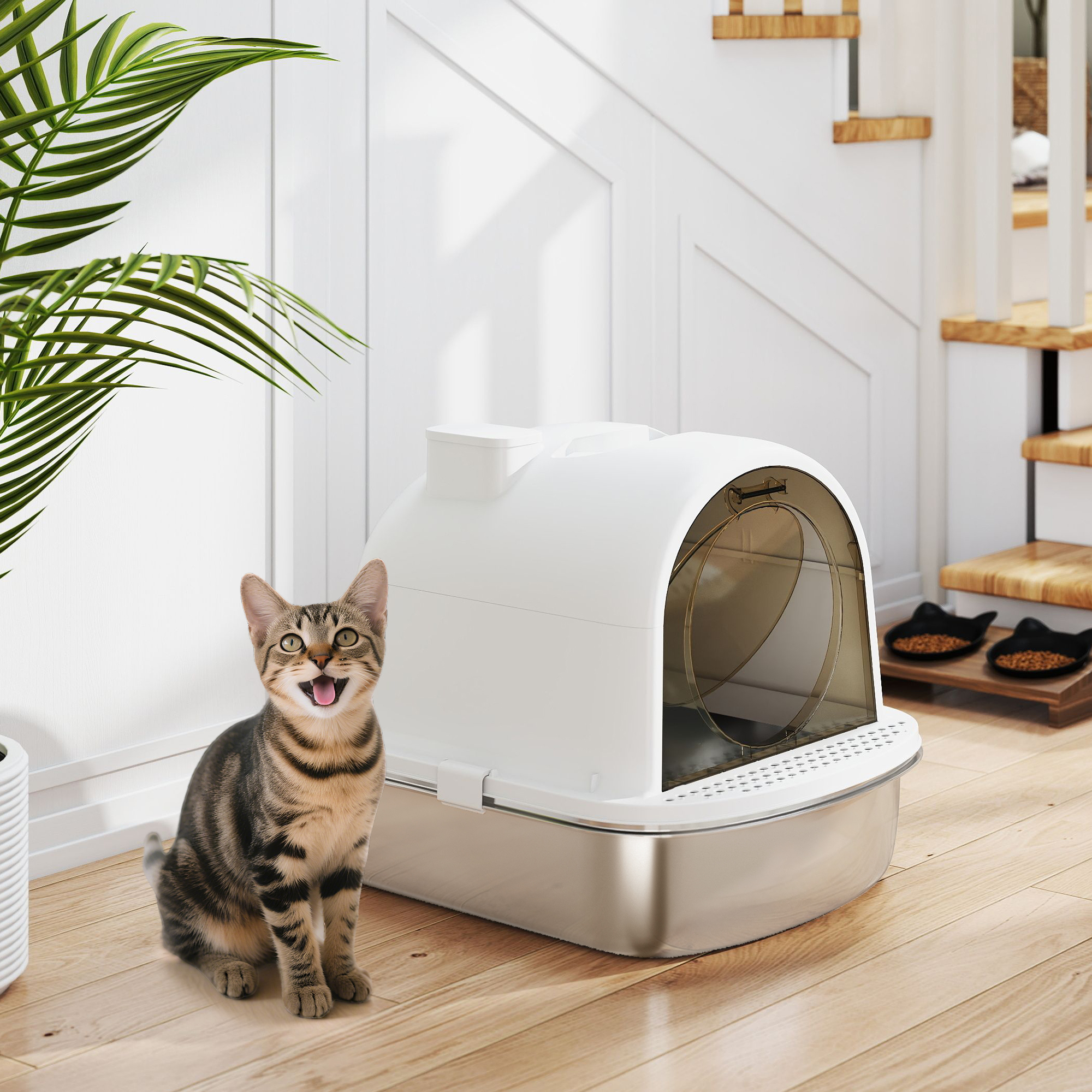 Un gato atigrado está sentado cerca de una caja de arena blanca. Planta verde a la izquierda, escaleras de madera al fondo.