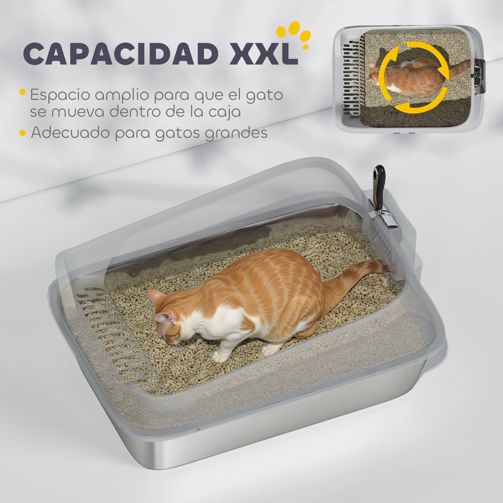 Un gato naranja y blanco está en una caja de arena grande. La caja es plateada y tiene una tapa transparente.