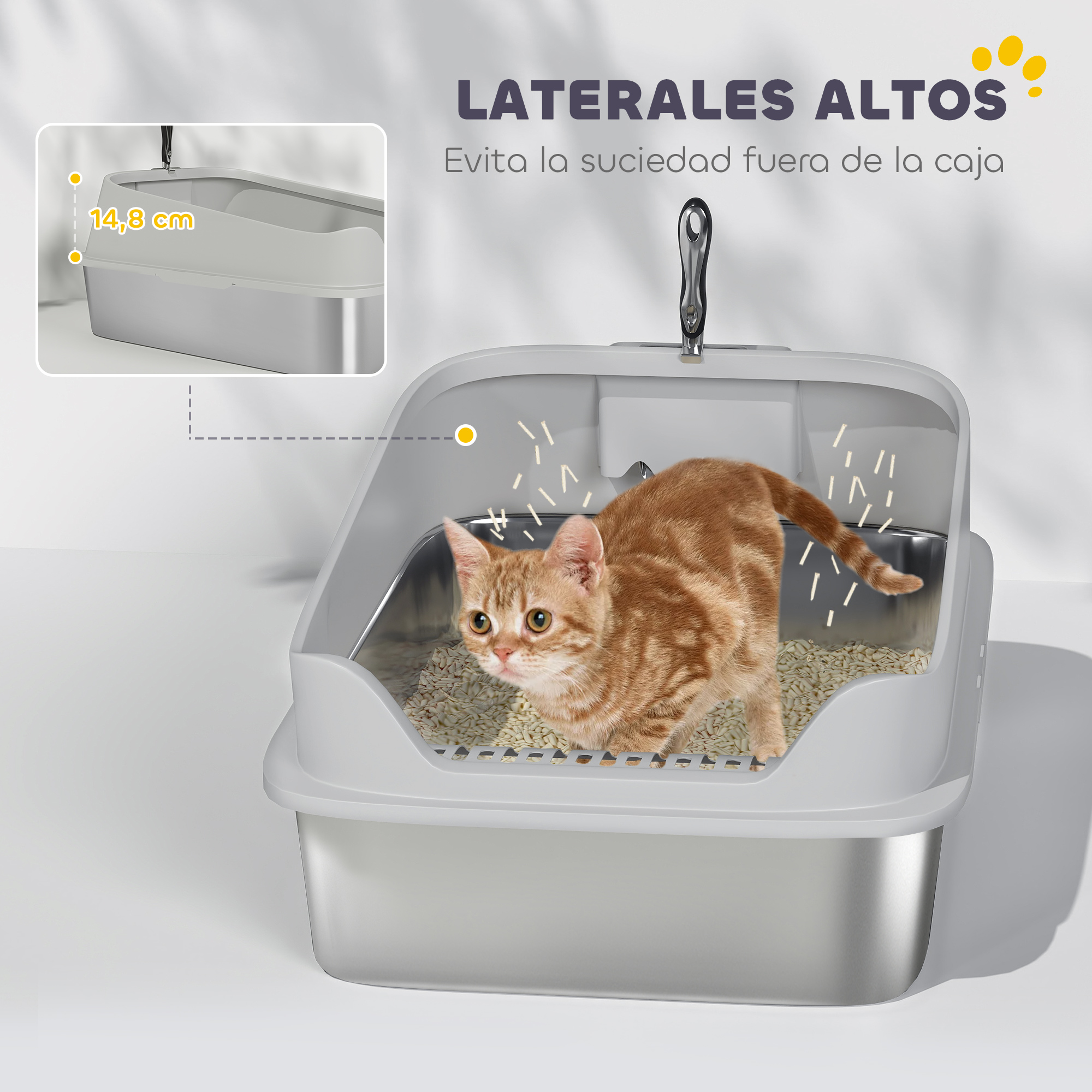 Un gato en una caja de arena gris. La caja está en un ambiente claro. La imagen tiene texto en español.