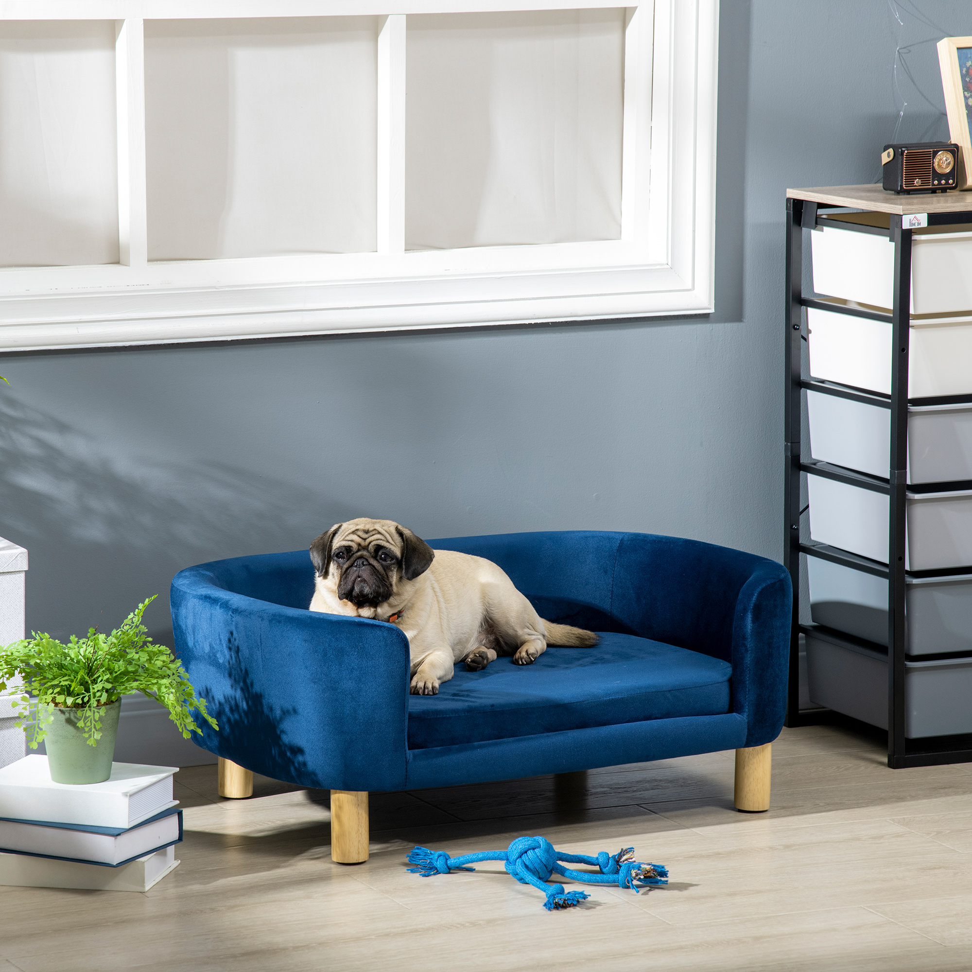Un carlino beige yace en una cama azul para perros. Un juguete azul está en el suelo. Una ventana, una planta y almacenamiento están en el fondo.