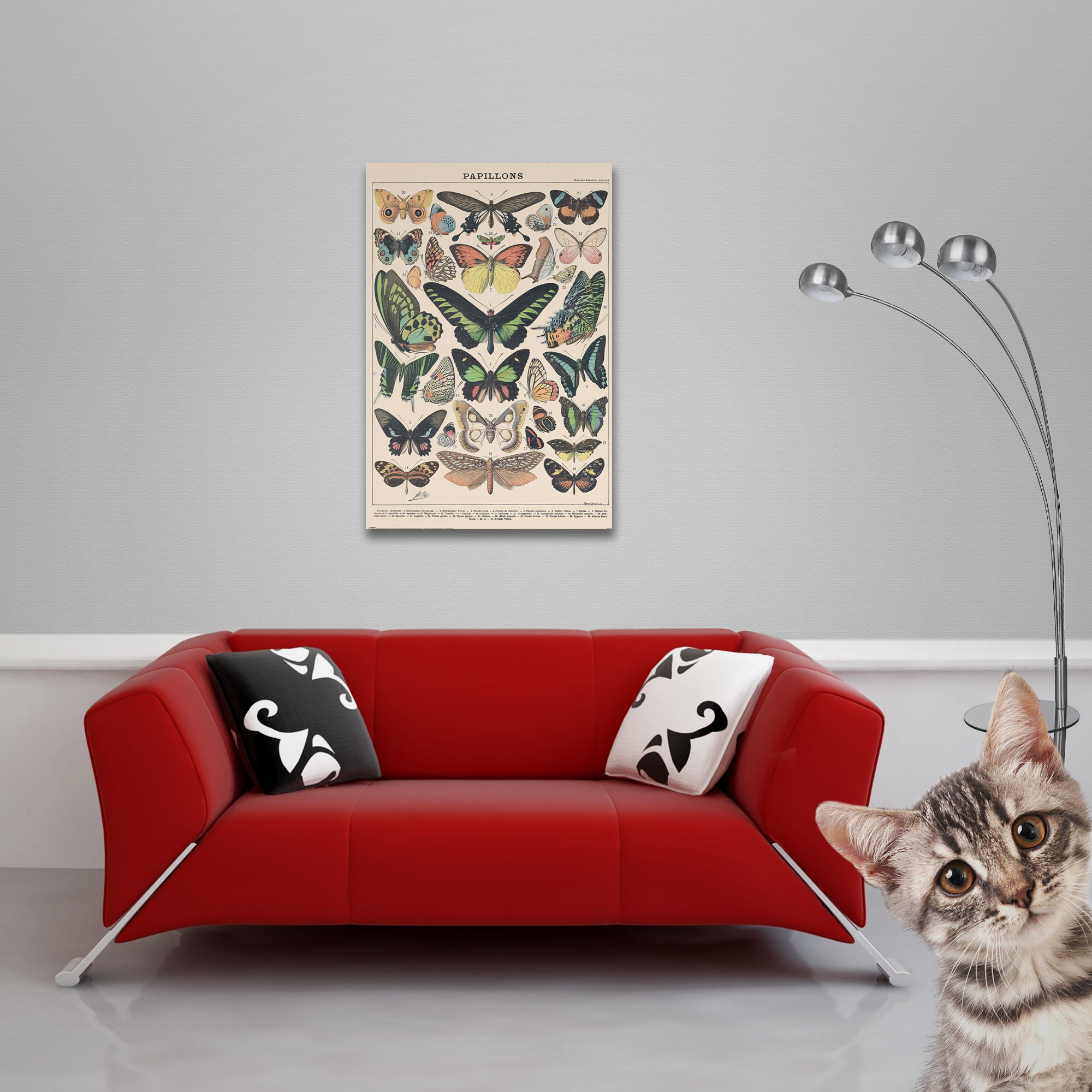 Ein rotes Sofa mit Kissen, eine Schmetterlingskarte an der Wand, eine Katze, die in die Kamera schaut, und eine Lampe.