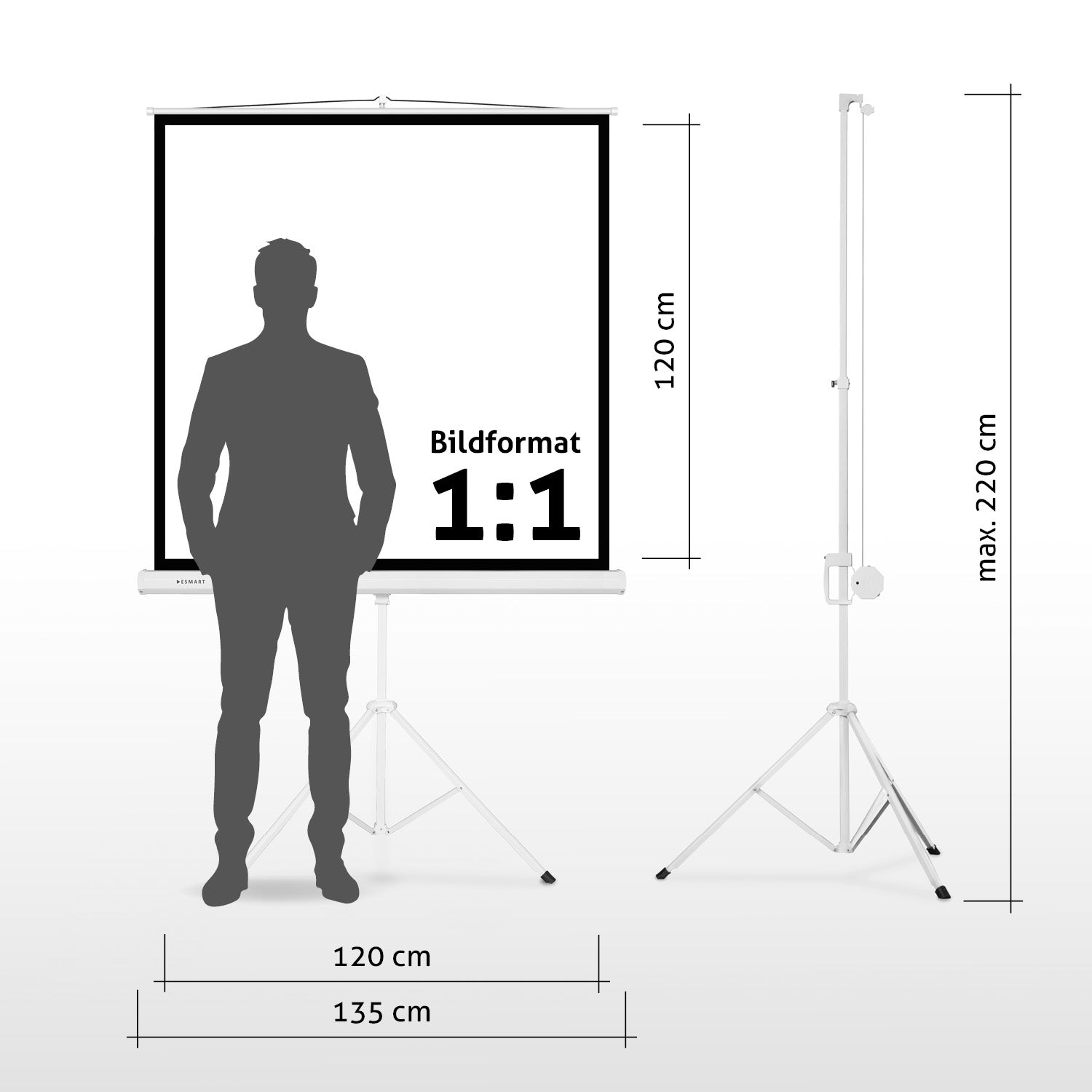 Ein Mann steht vor einer Projektorleinwand. Auf dem Bildschirm steht 'Bildformat 1:1'. Maße sind 120cm und 135cm.