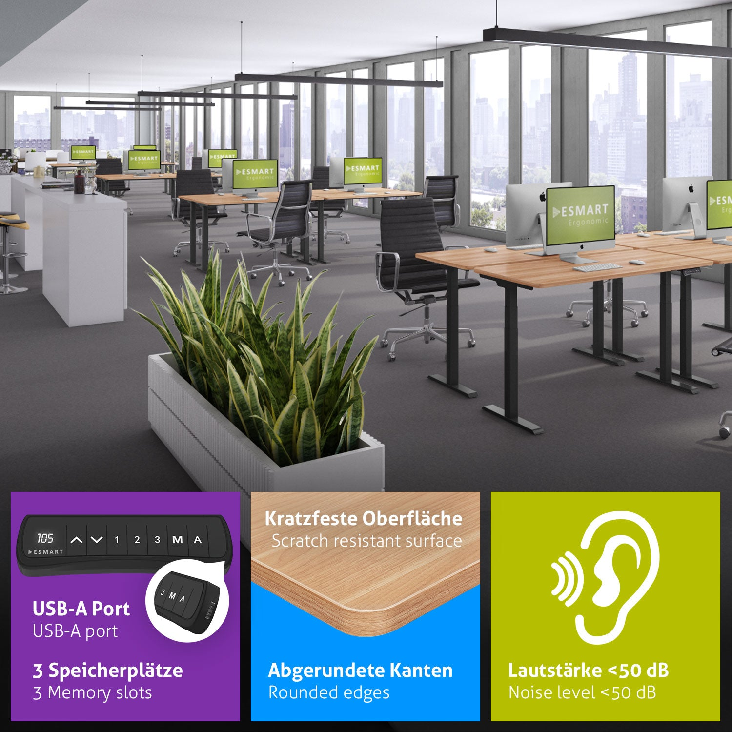 Ein Büro mit Schreibtischen, Stühlen, Computern und großen Fenstern. Pflanzen in einem weißen Pflanzgefäß im Vordergrund.