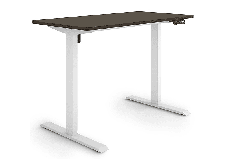 exeta ergoPRO Grau: Elektrischer Schreibtisch | 63-125cm, 115kg