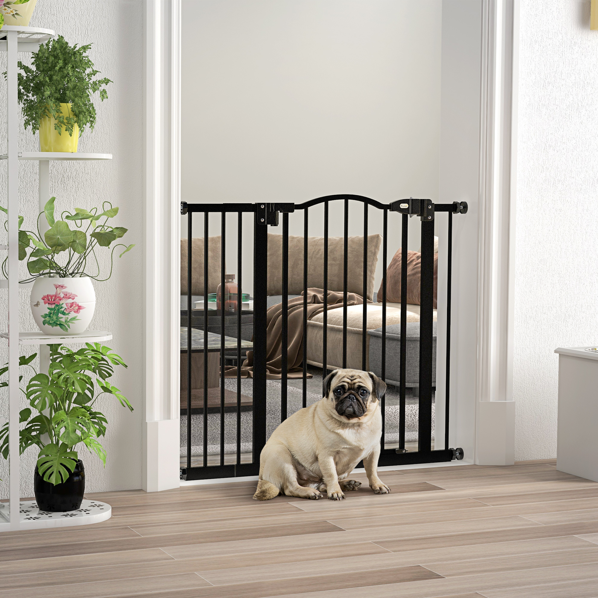 Un pug beige está sentado frente a una barrera de seguridad negra en una puerta. Plantas a la izquierda. Un sofá es visible a través de la puerta.