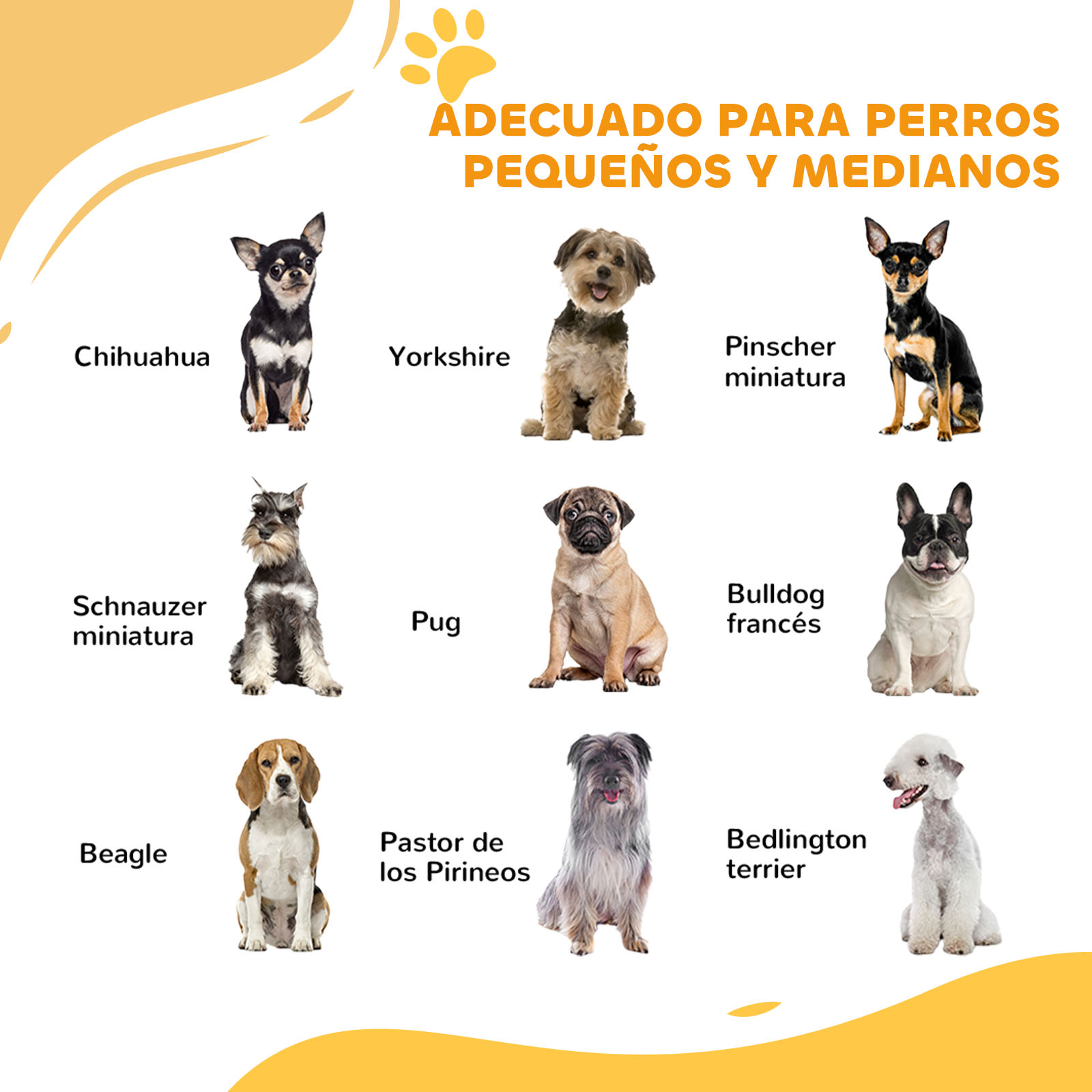 La imagen muestra 9 razas de perros, incluyendo Chihuahua, Yorkshire y Beagle, con texto 'Apto para perros pequeños y medianos'.