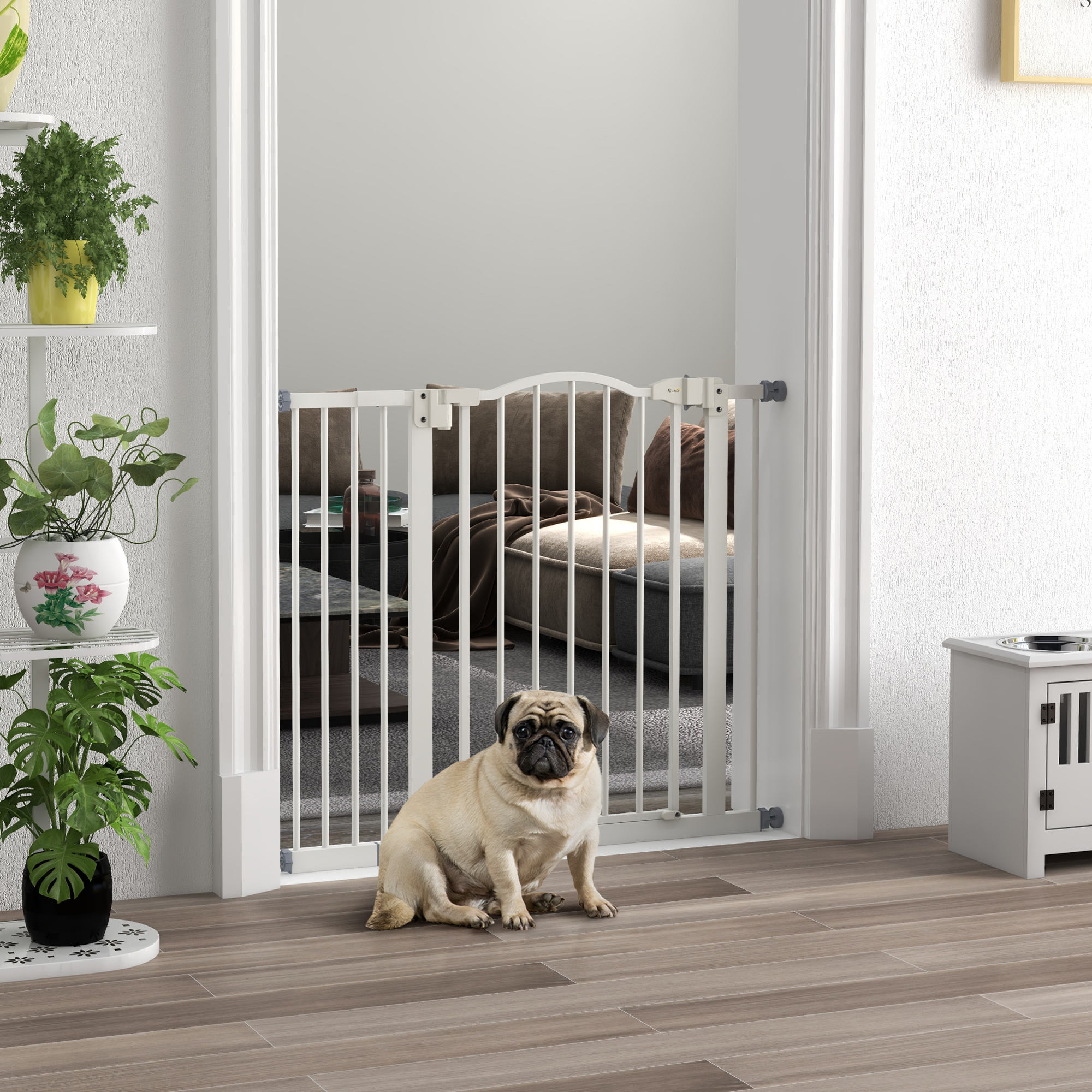Un carlino beige se sienta frente a una barrera de seguridad blanca. Hay plantas en estantes a la izquierda y una jaula para perros a la derecha.