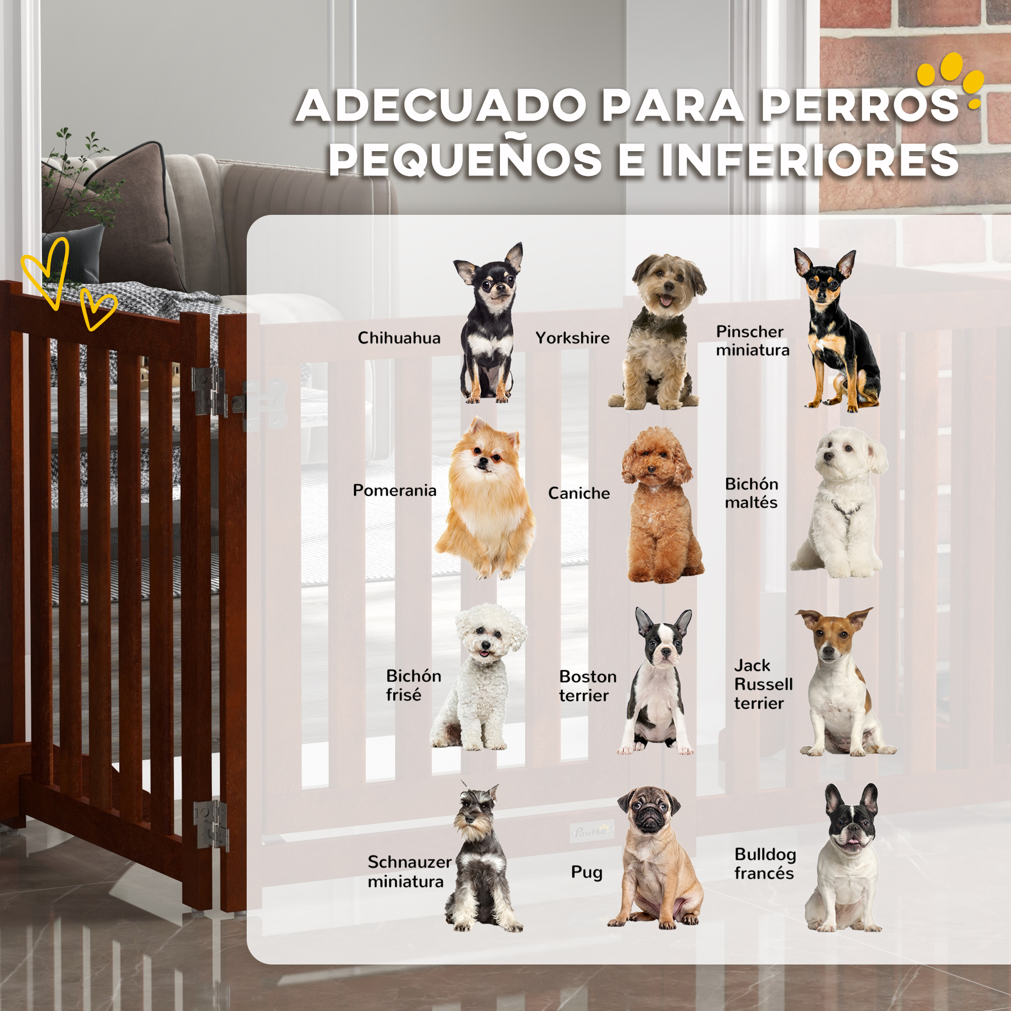 La imagen muestra razas de perros como Chihuahua, Yorkshire y otras. El texto dice 'Adecuado para perros pequeños'.