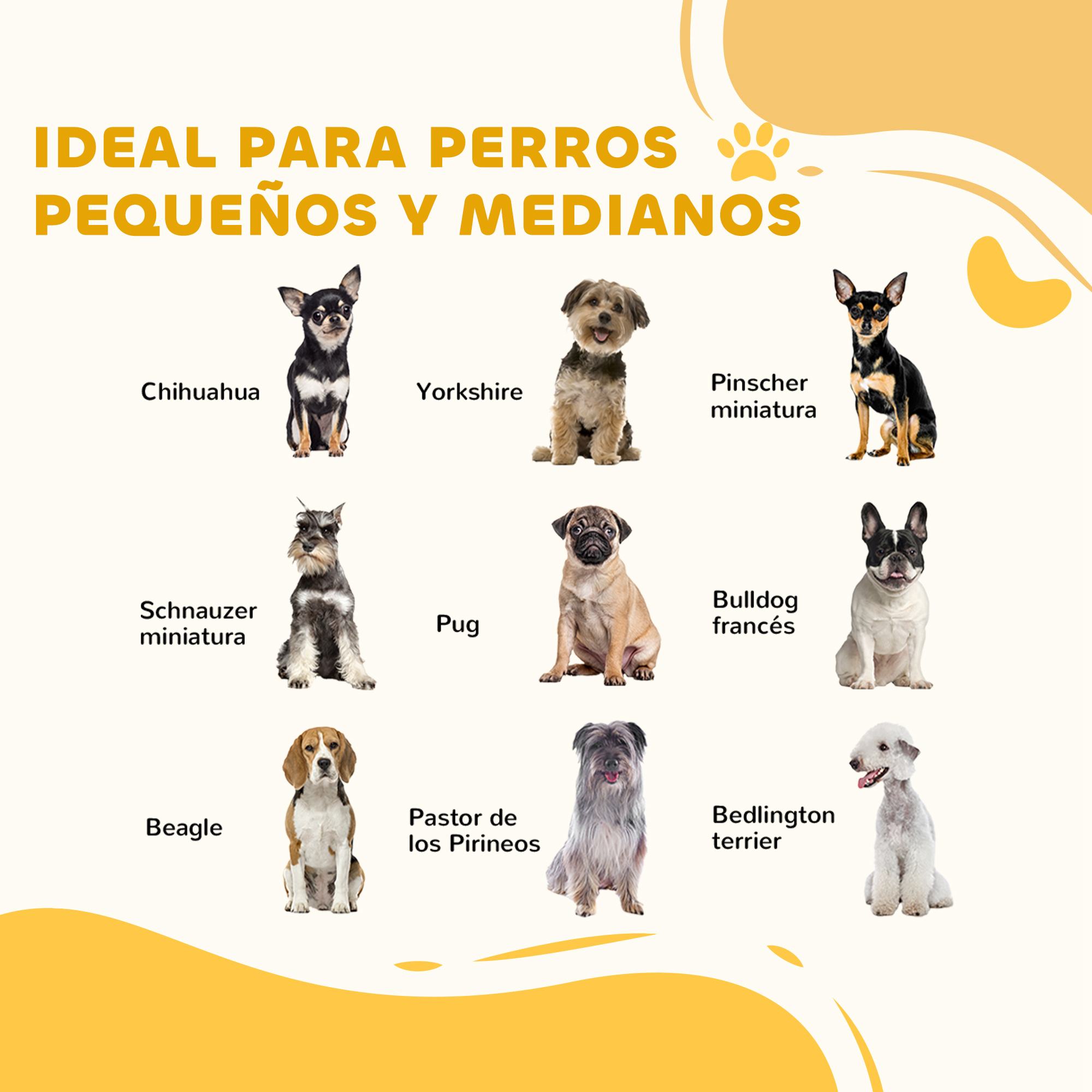 La imagen muestra 9 razas de perros con sus nombres. El texto superior dice: Ideal para perros pequeños y medianos.