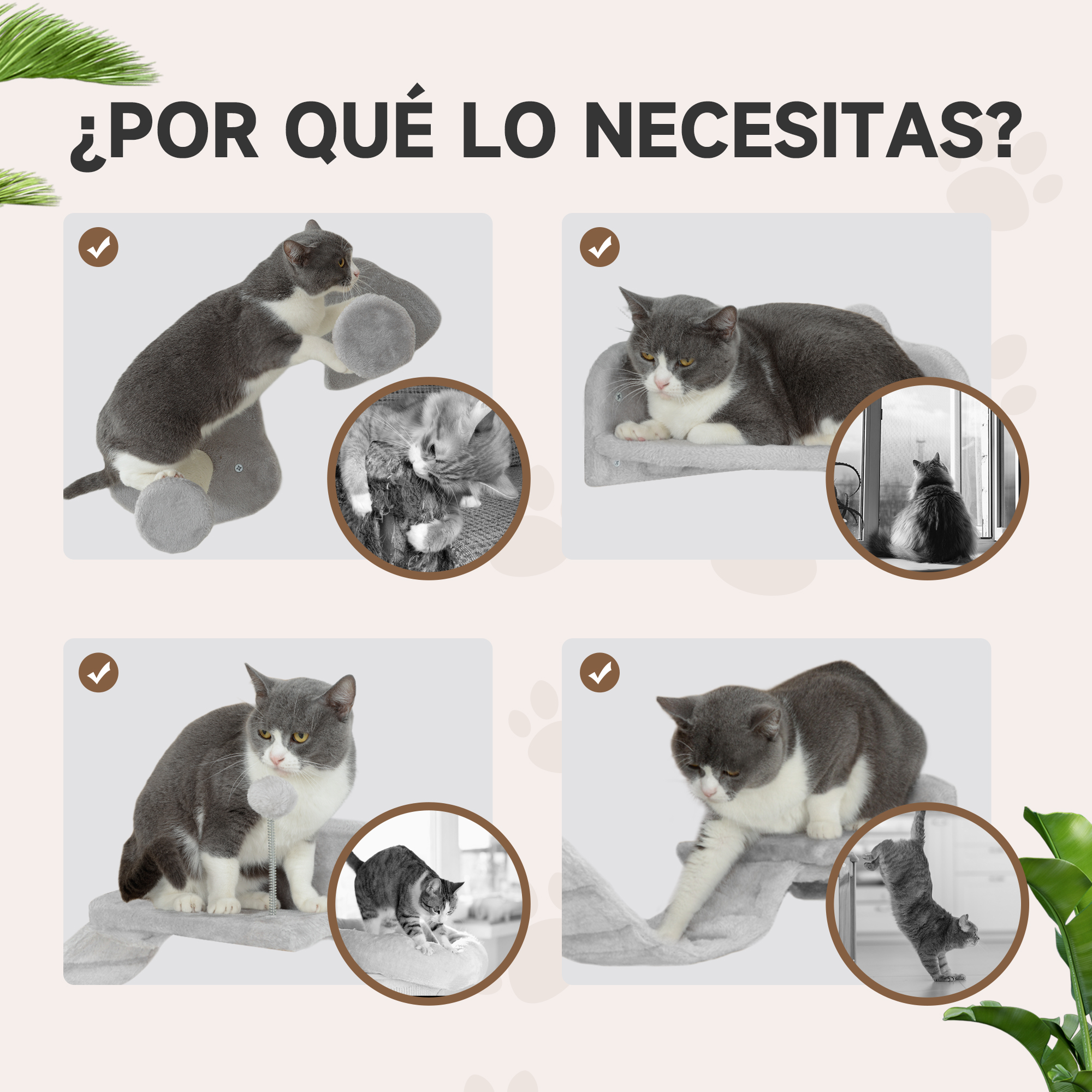 Se muestran gatos interactuando con muebles para gatos. Gatos grises y blancos se ven en los muebles, en blanco y negro y a color.