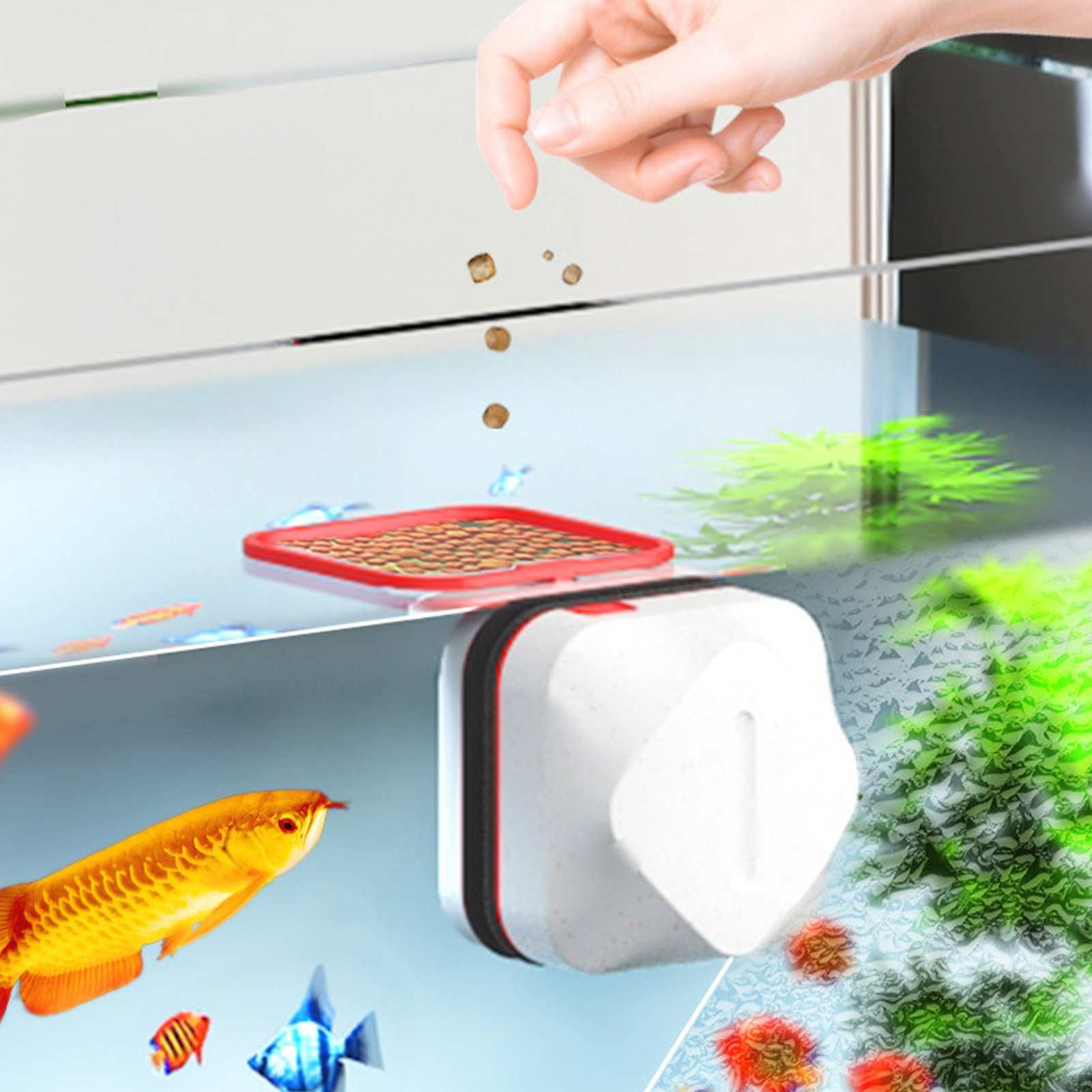 Eine Hand wirft Fischfutter in ein Aquarium. Fische und ein Magnetreiniger sind sichtbar.