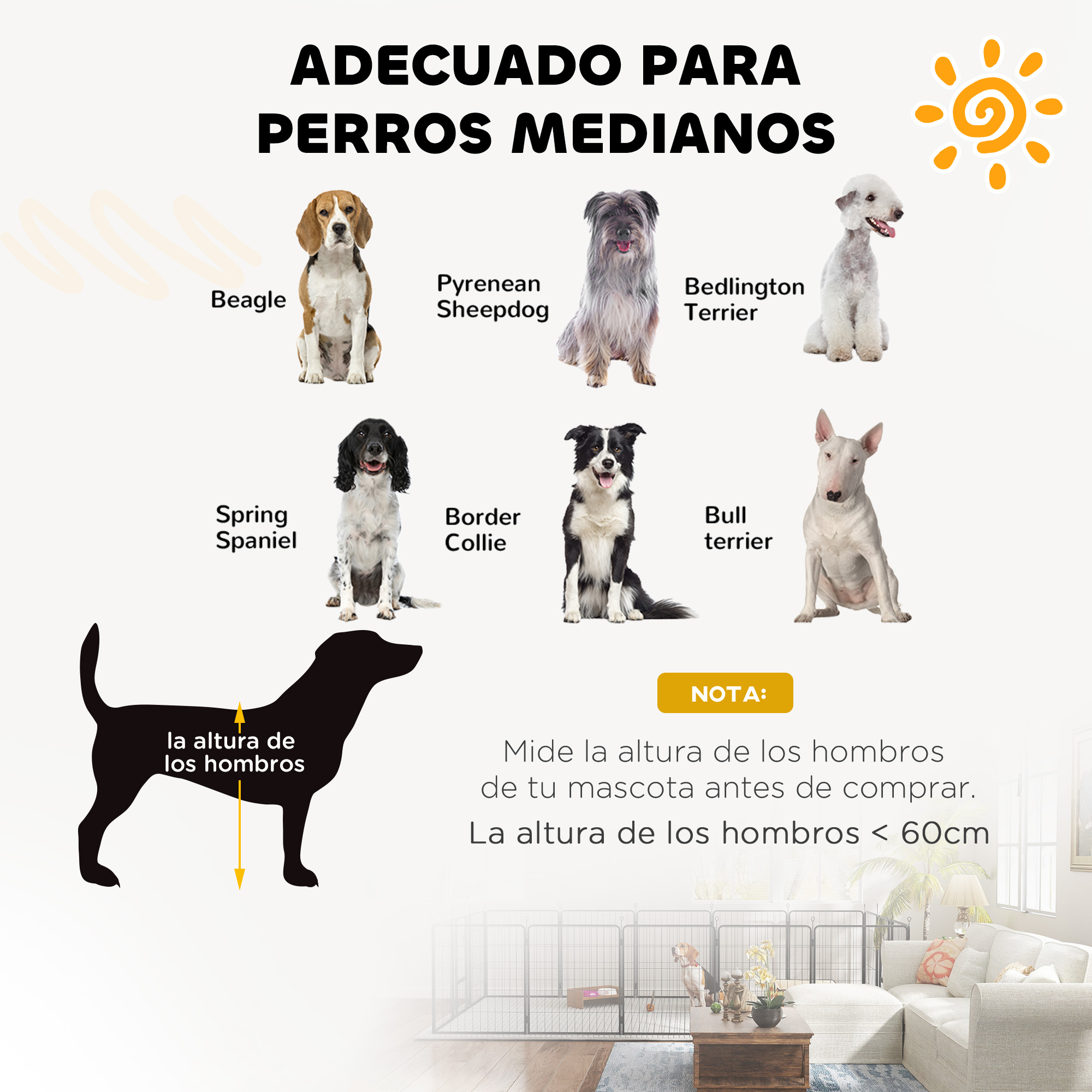 La imagen muestra razas de perros adecuadas para perros medianos. Incluye Beagle, Perro de montaña de los Pirineos, Bedlington Terrier, etc. El texto indica: altura <lt/> 60 cm.