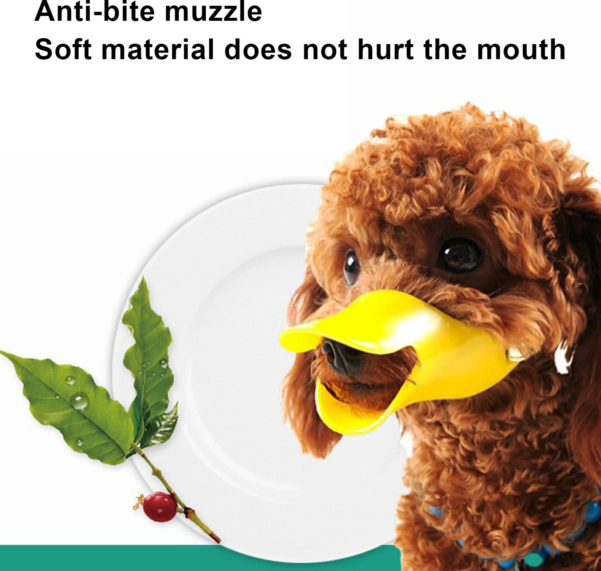 Brauner Hund mit gelbem Maulkorb. Grüne Blätter mit Wassertropfen und rote Beere. Weiße Platte im Hintergrund.