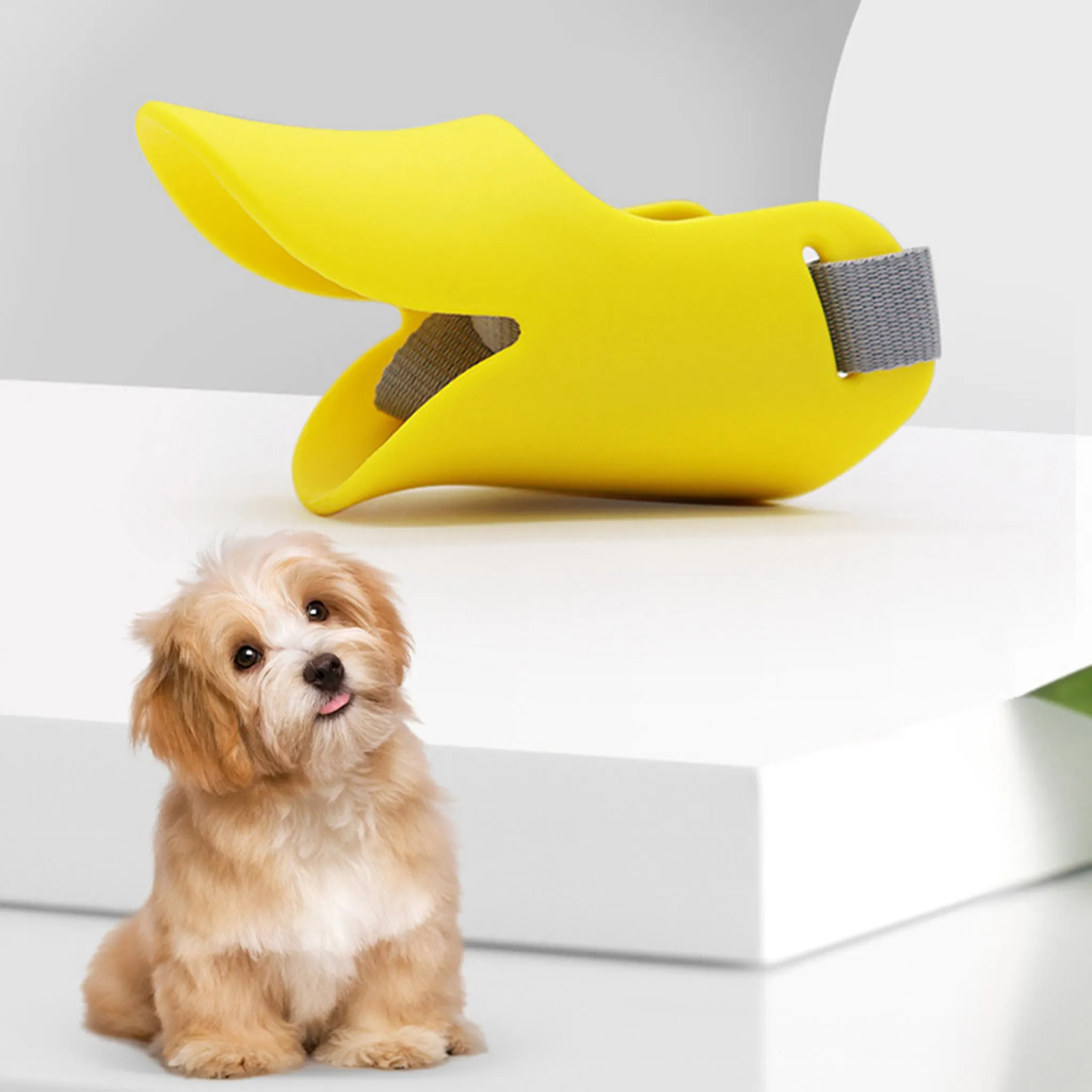 Ein gelber Hundemaulkorb und ein kleiner Hund mit braunem Fell sitzen auf einer weißen Oberfläche.